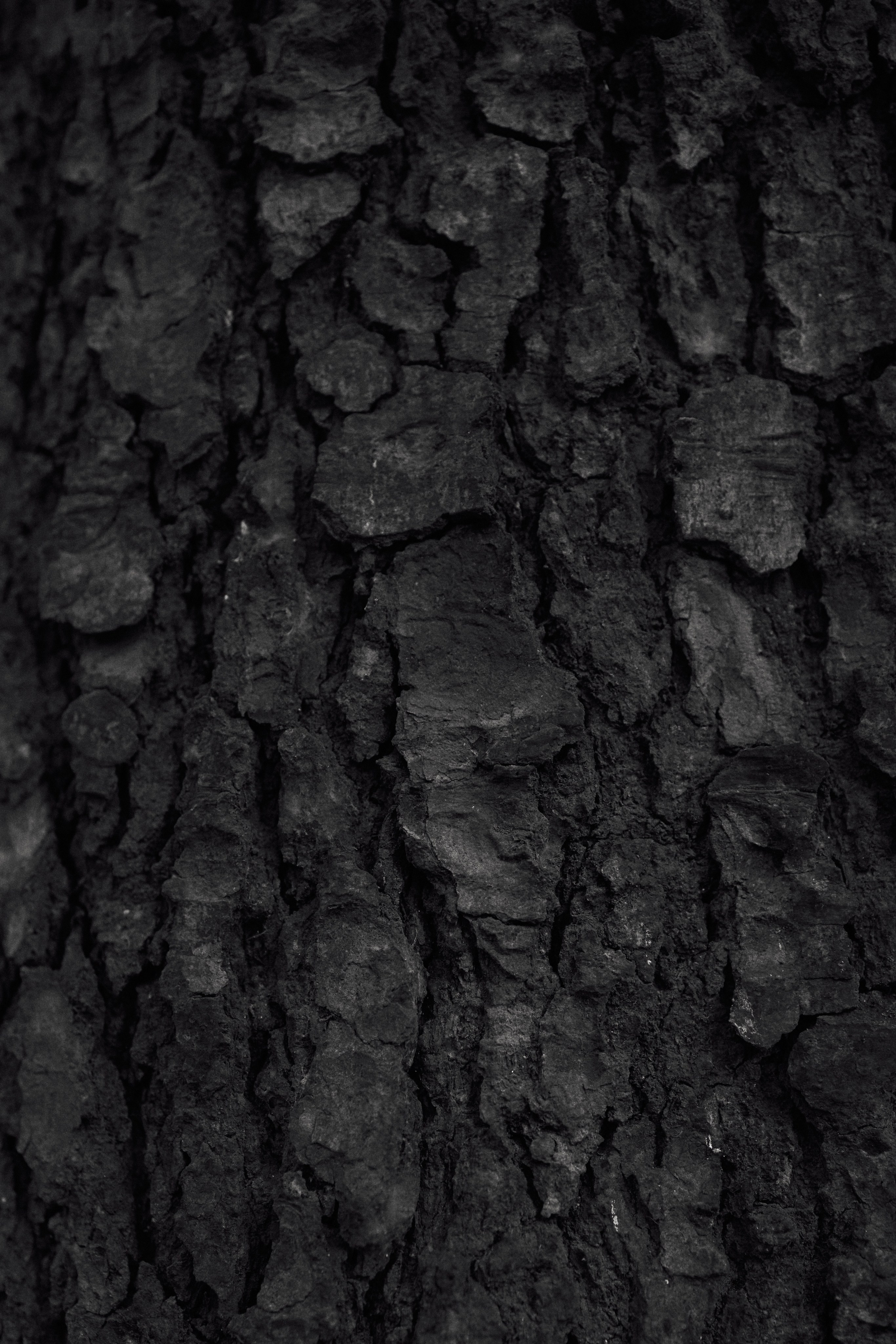 Денис и Наташа