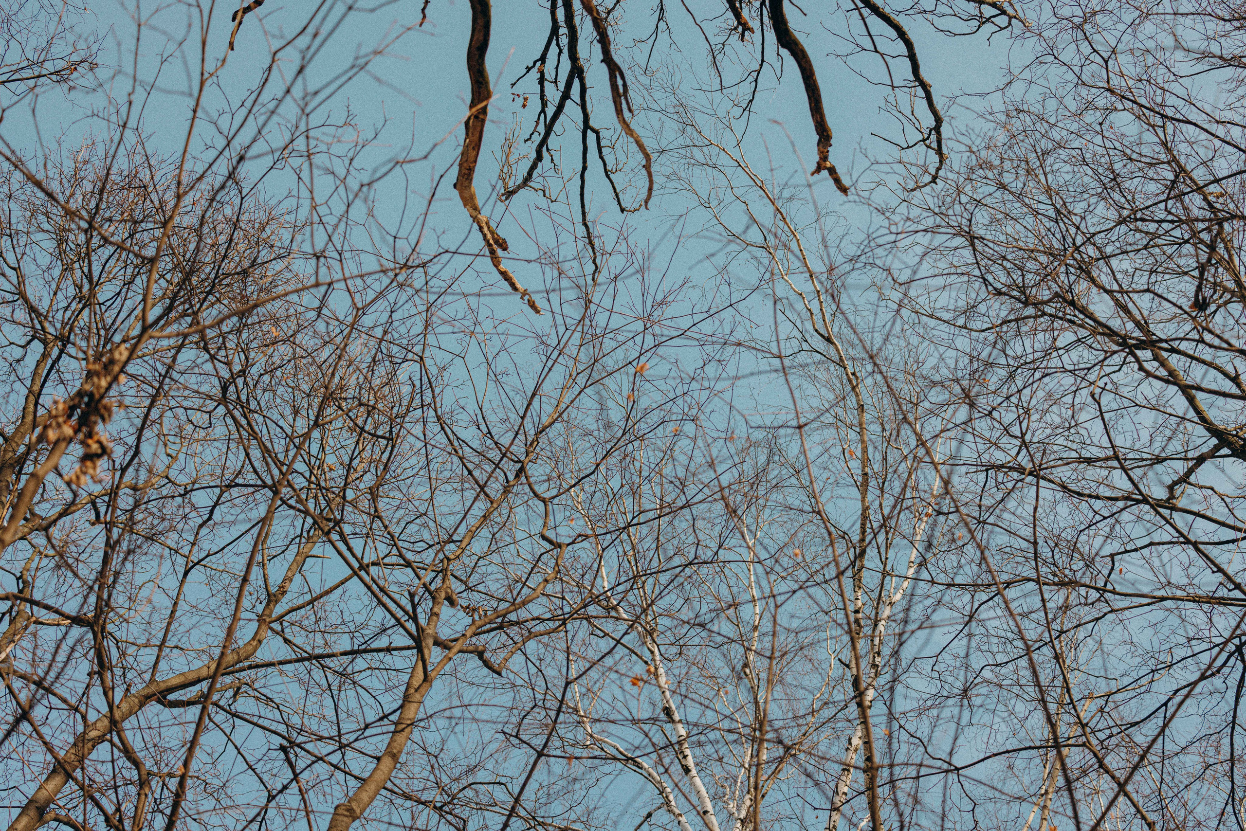 Свобода и ее семья. Фотограф-анималист в Москве Лера Черноног