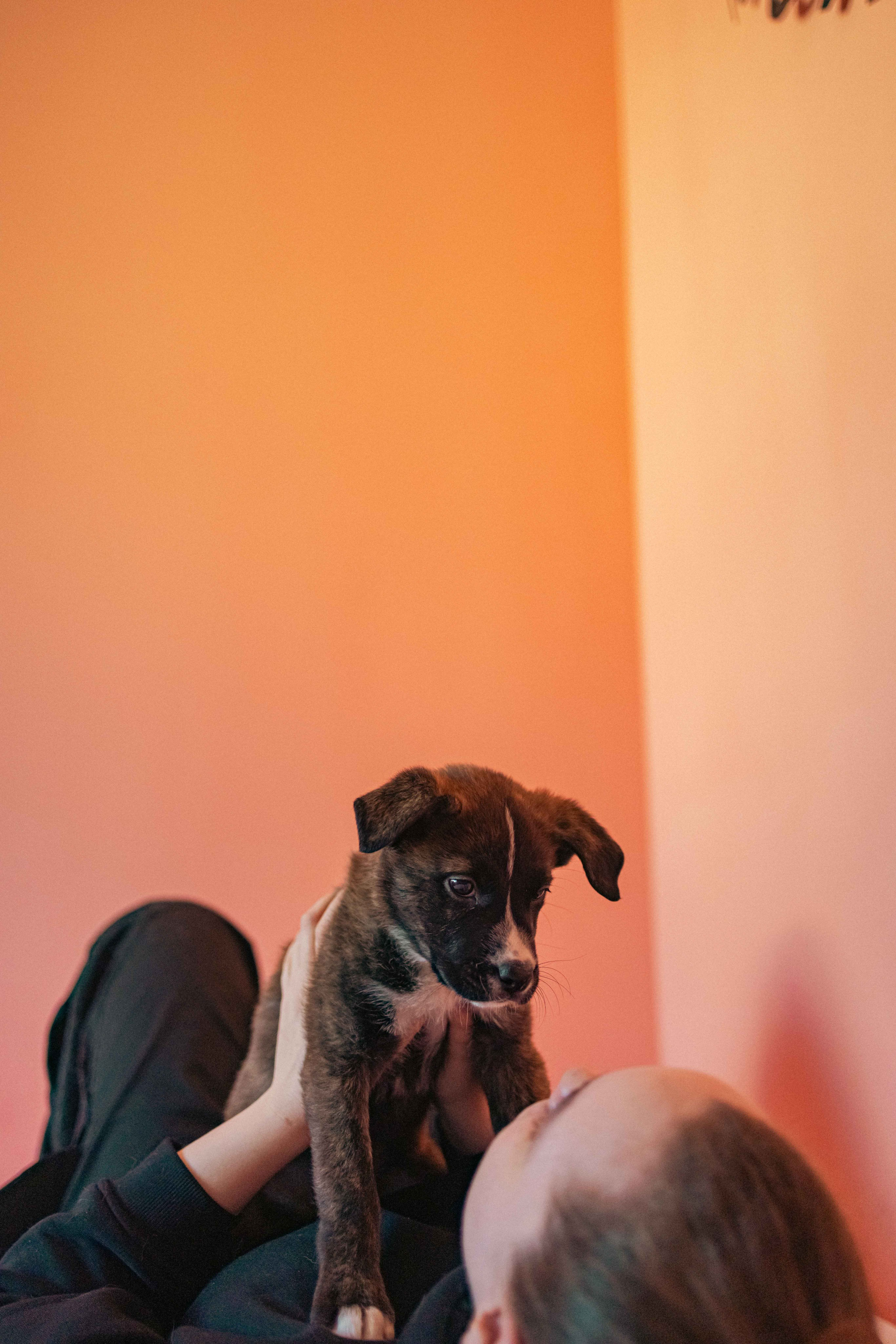 Гайка. Фотограф-анималист в Москве Лера Черноног