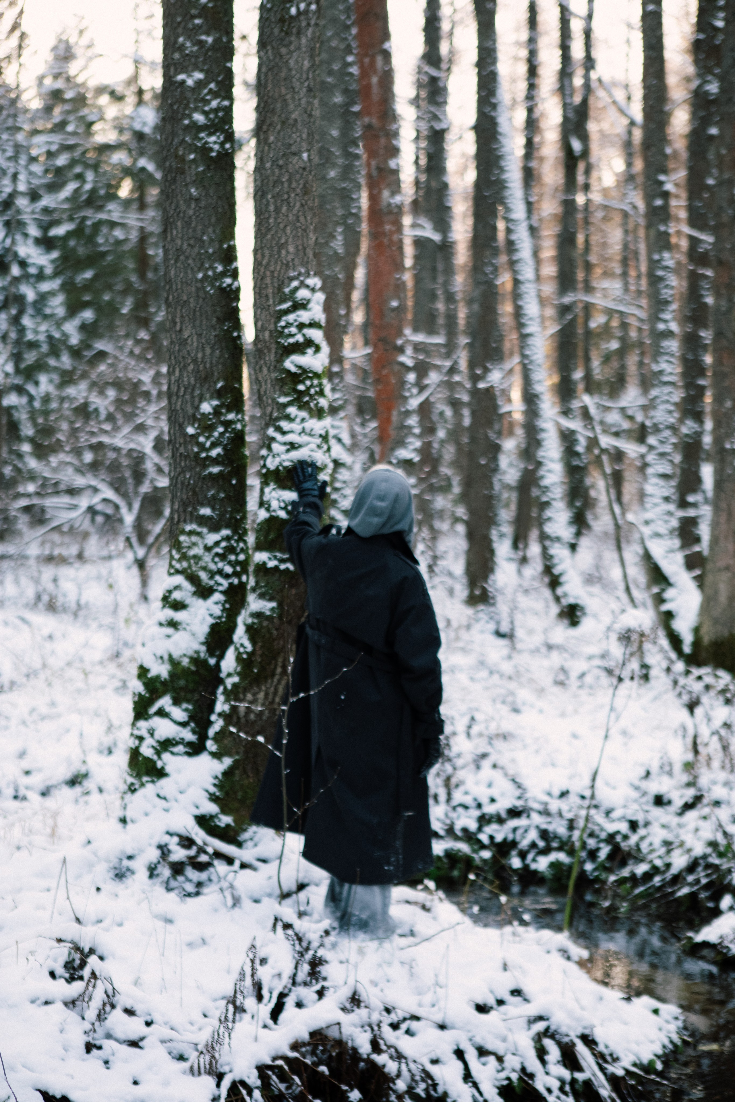 Фотопрогулка в зимнем лесу. Портретный фотограф в Иванове Ольга Гуральник
