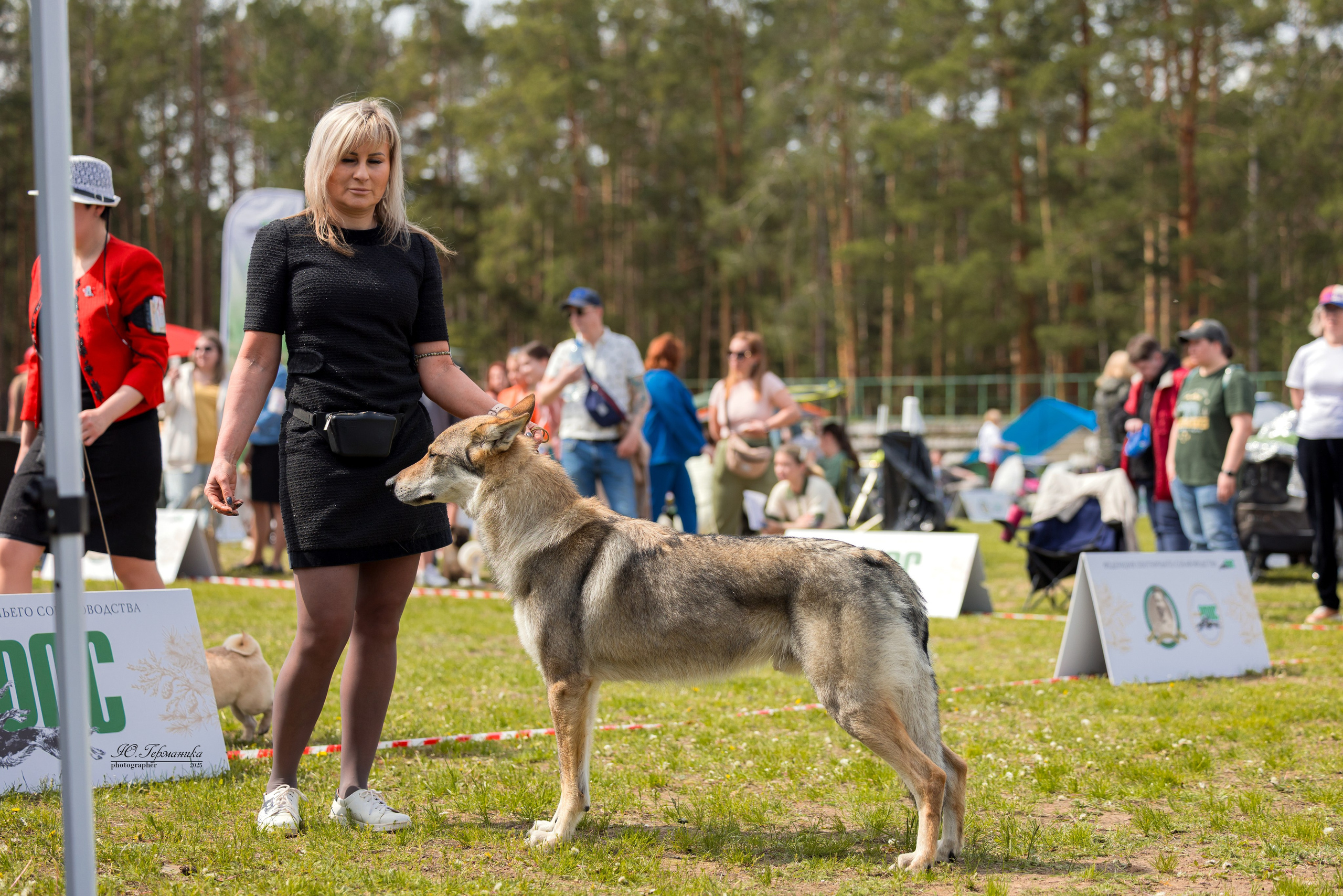 Суздаль(Владимир)17-18.05.2025. Фотограф-анималист Юлия Германика
