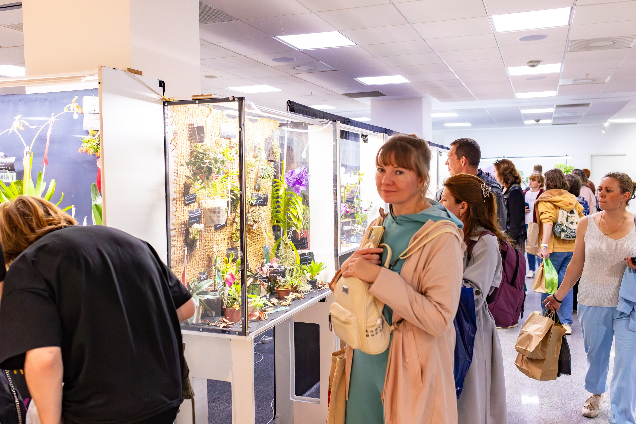 Орхидиум сентябрь 2025. Александра Куликова фотограф, Москва