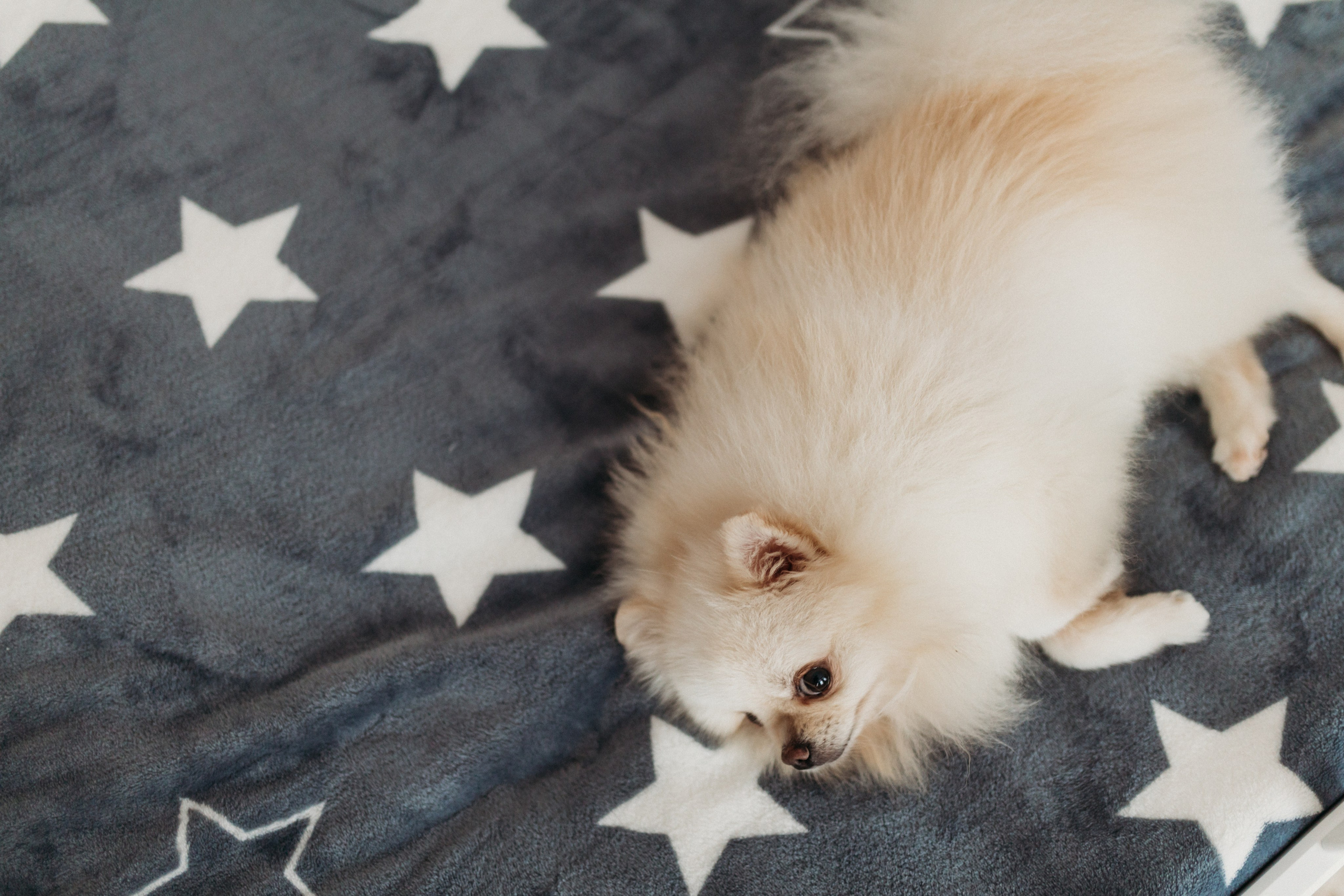 Домашняя фотосессия День Рождения Василисы. Фотограф Тверь. Свадебные, семейные, индивидуальные фотосессии