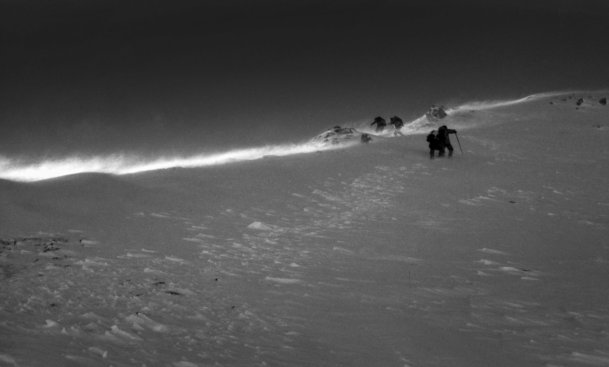 Свадебный фотограф в Геленджике
