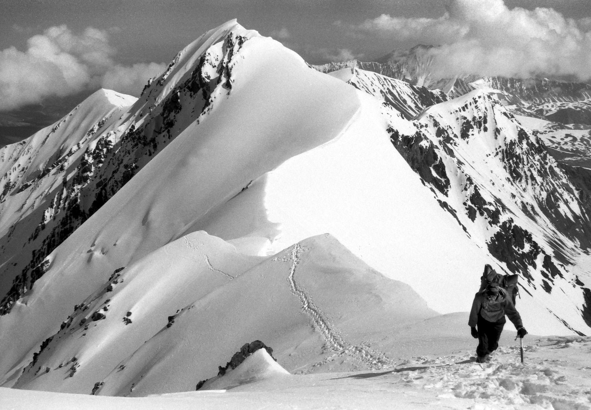 Свадебный фотограф в Геленджике