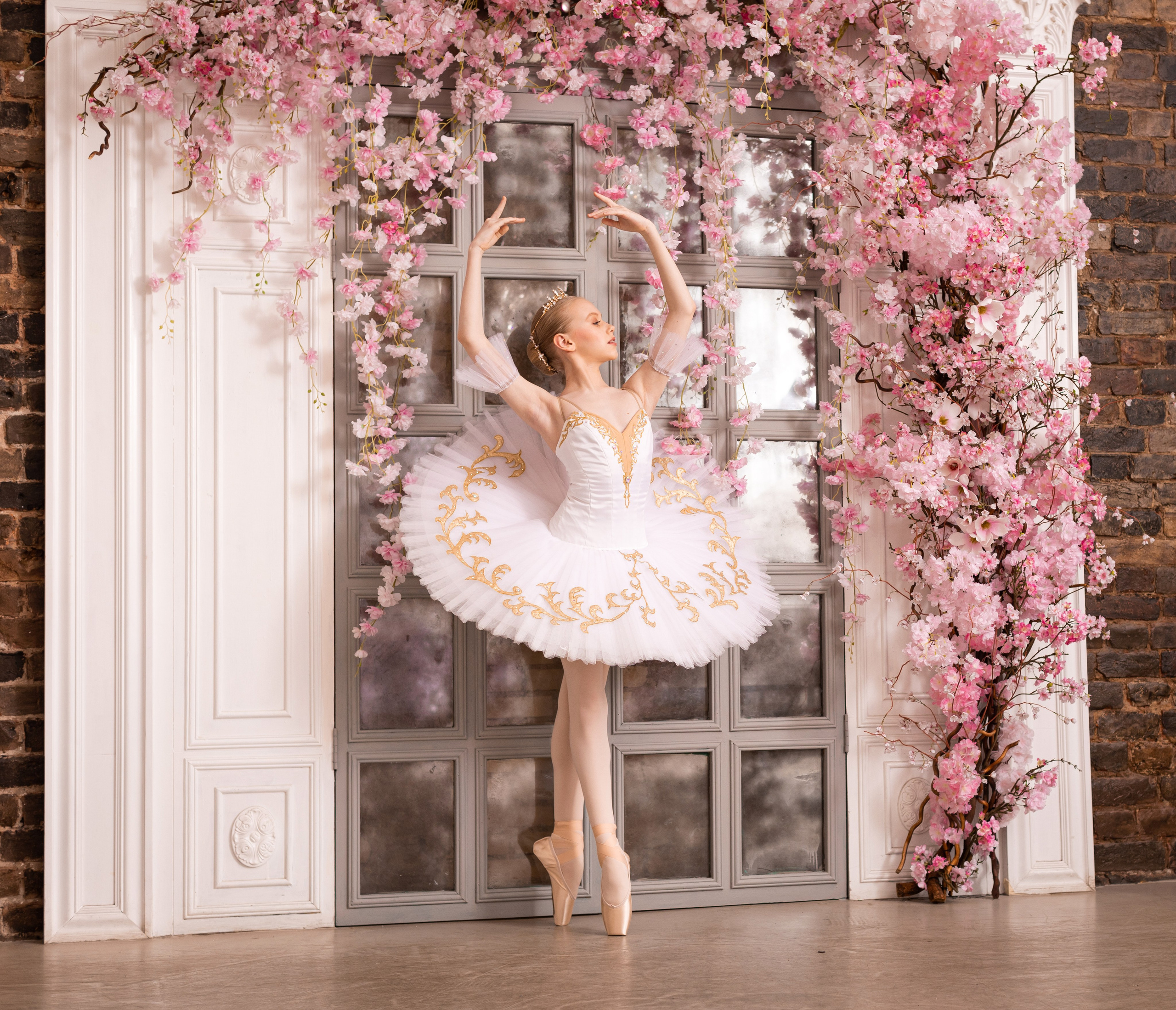 Балетная съёмка в интерьере. Балетный фотограф Алина Ханько — Душа Балета