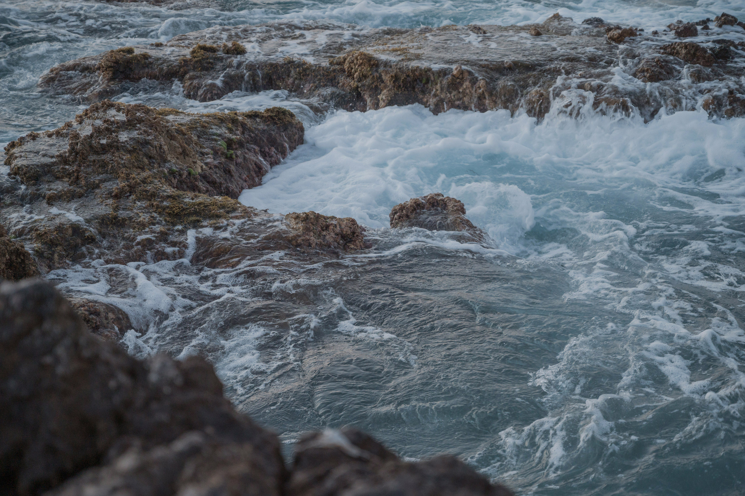 Dancing queen. Photo & Video production, in Bishkek, Kyrgyzstan