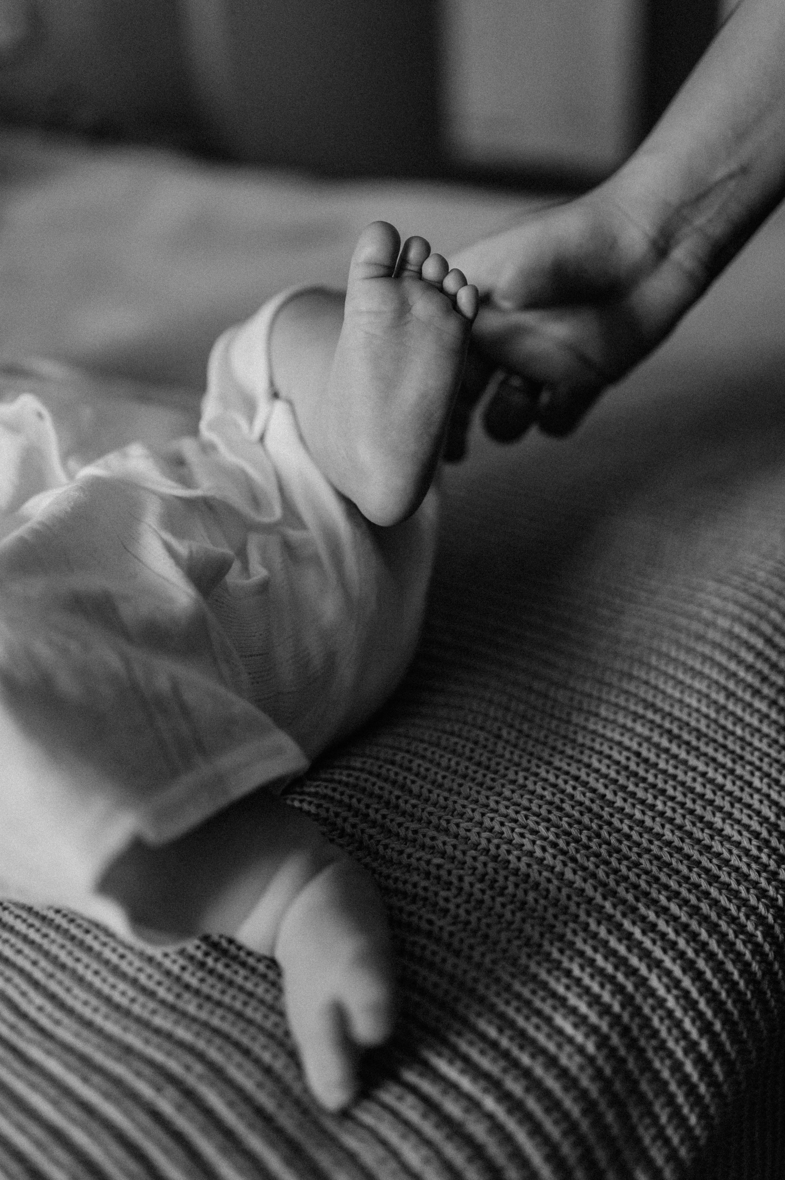 Агата, Катя, Руслан. Свадебный фотограф, фотограф беременности Дарья Доценко