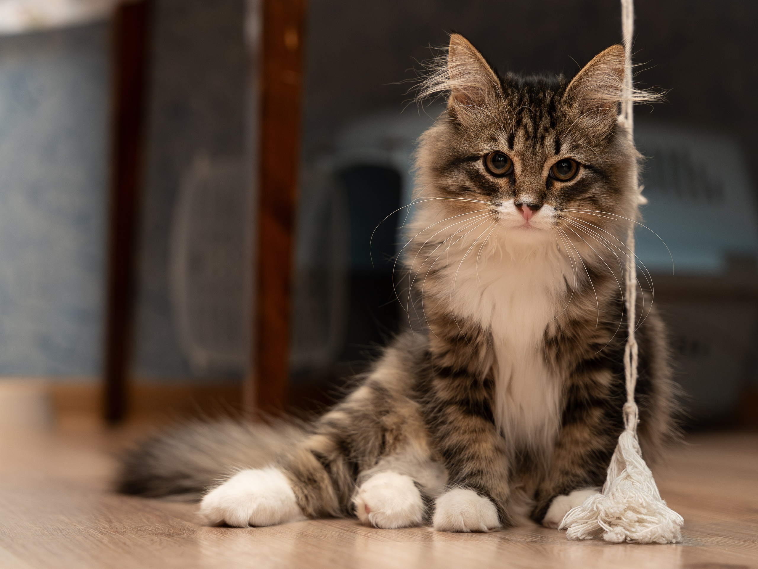 Корпоративы и праздники портфолио (фото)