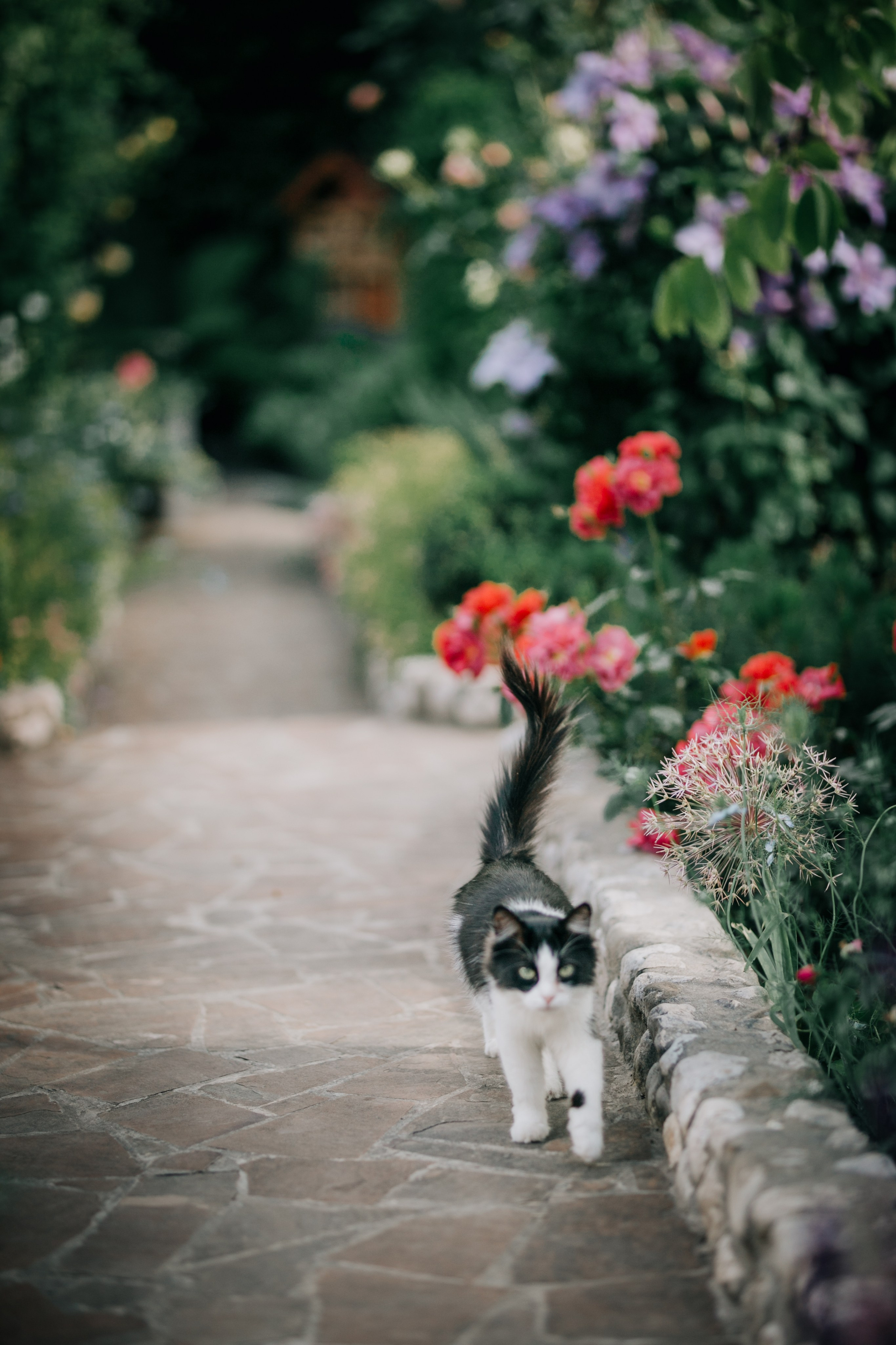 Татьяна и Алексей. Семейная фотосессия дома. Фотограф в Крыму