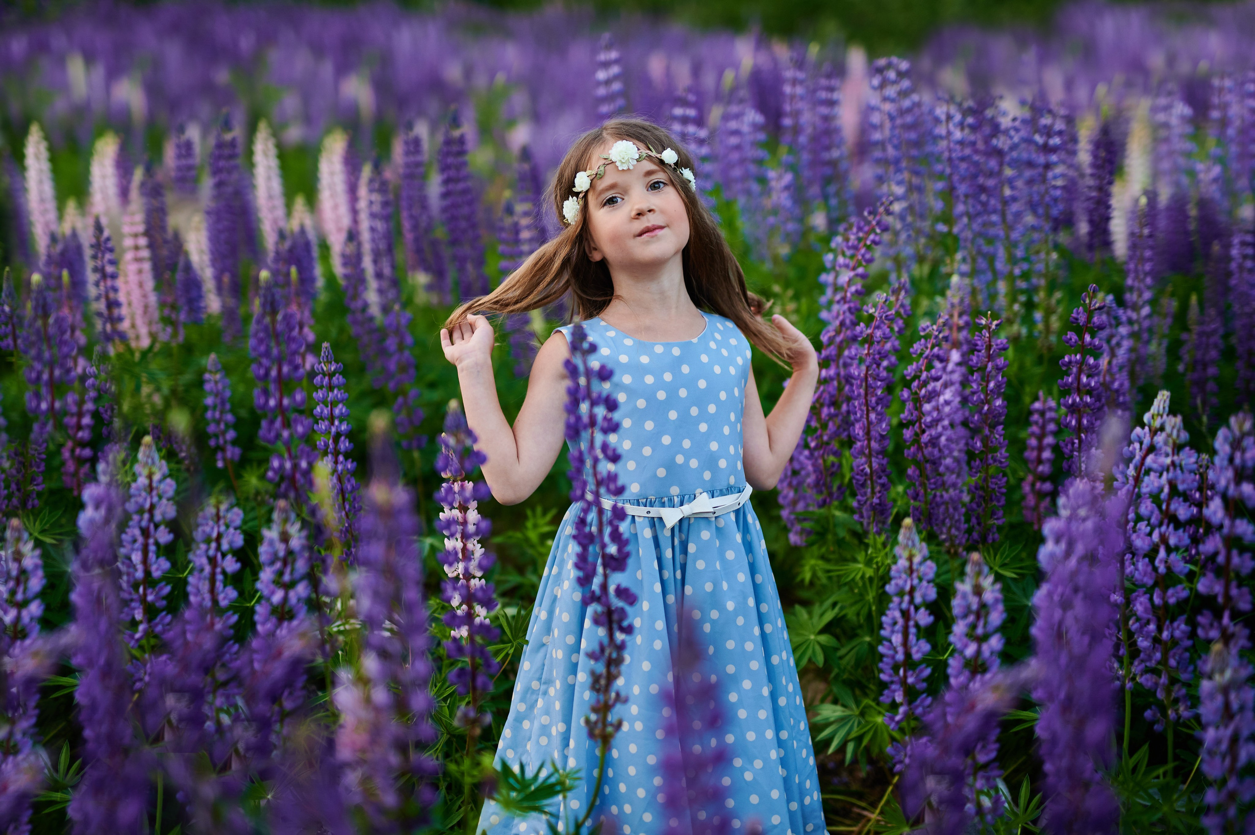 Счастье в люпинах. Портретный, семейный и свадебный фотограф в Санкт-Петербурге и в Пушкине Ширяев Денис