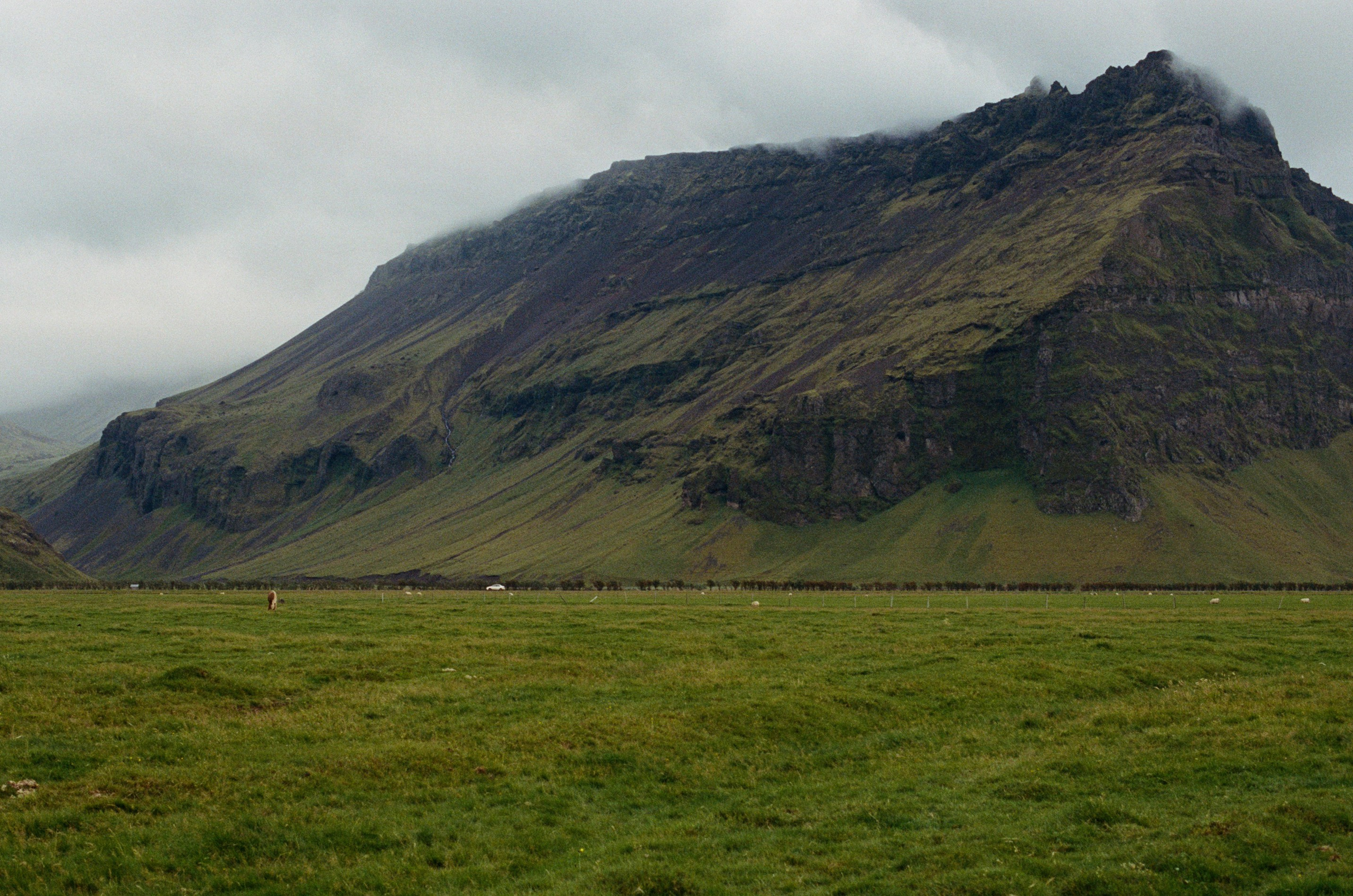 Vor i vaglaskogi // iceland, dyrhólaey. EVER EXPOSED