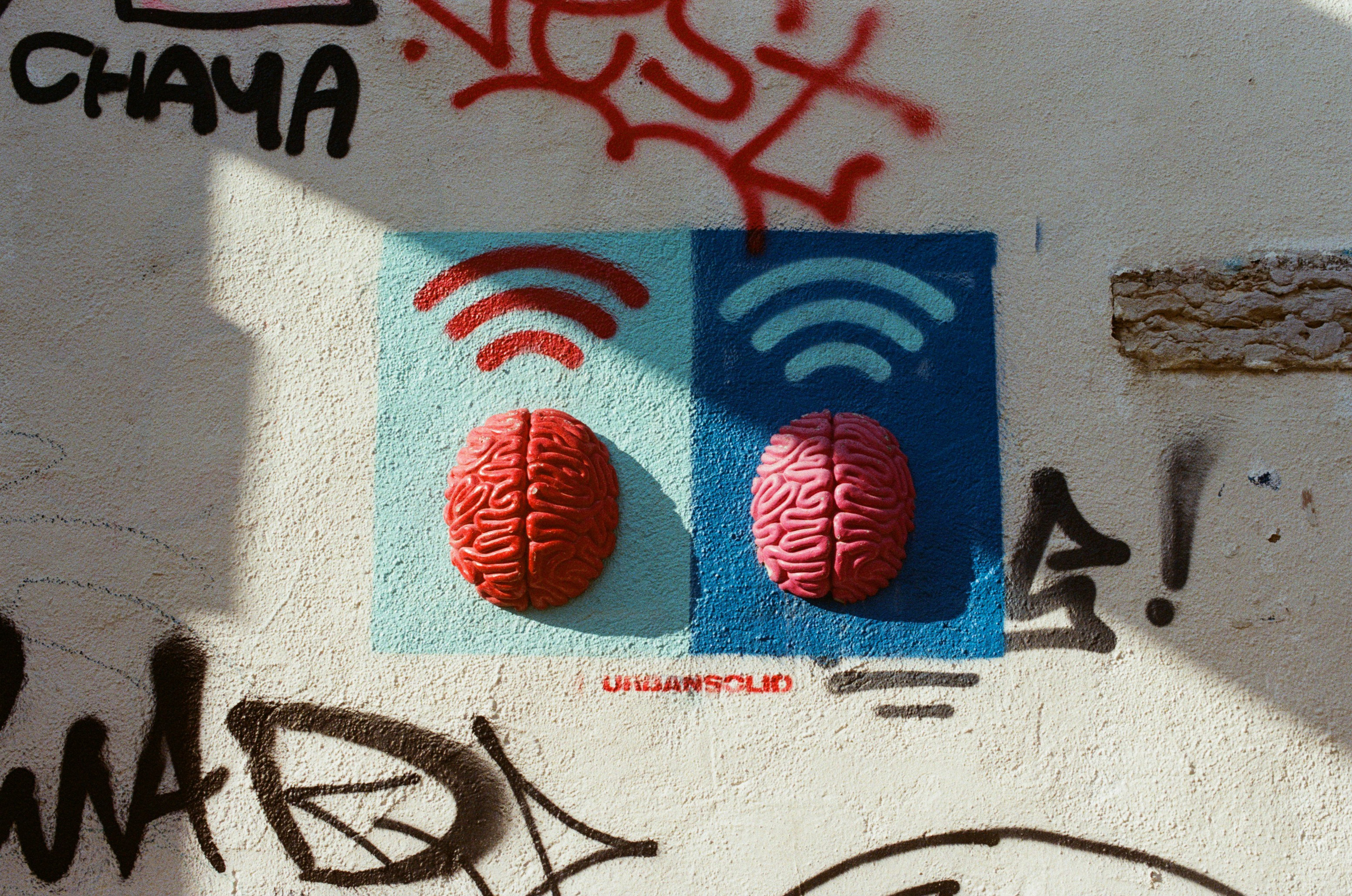 I think i'm ok // portugal, lissabon III. EVER EXPOSED