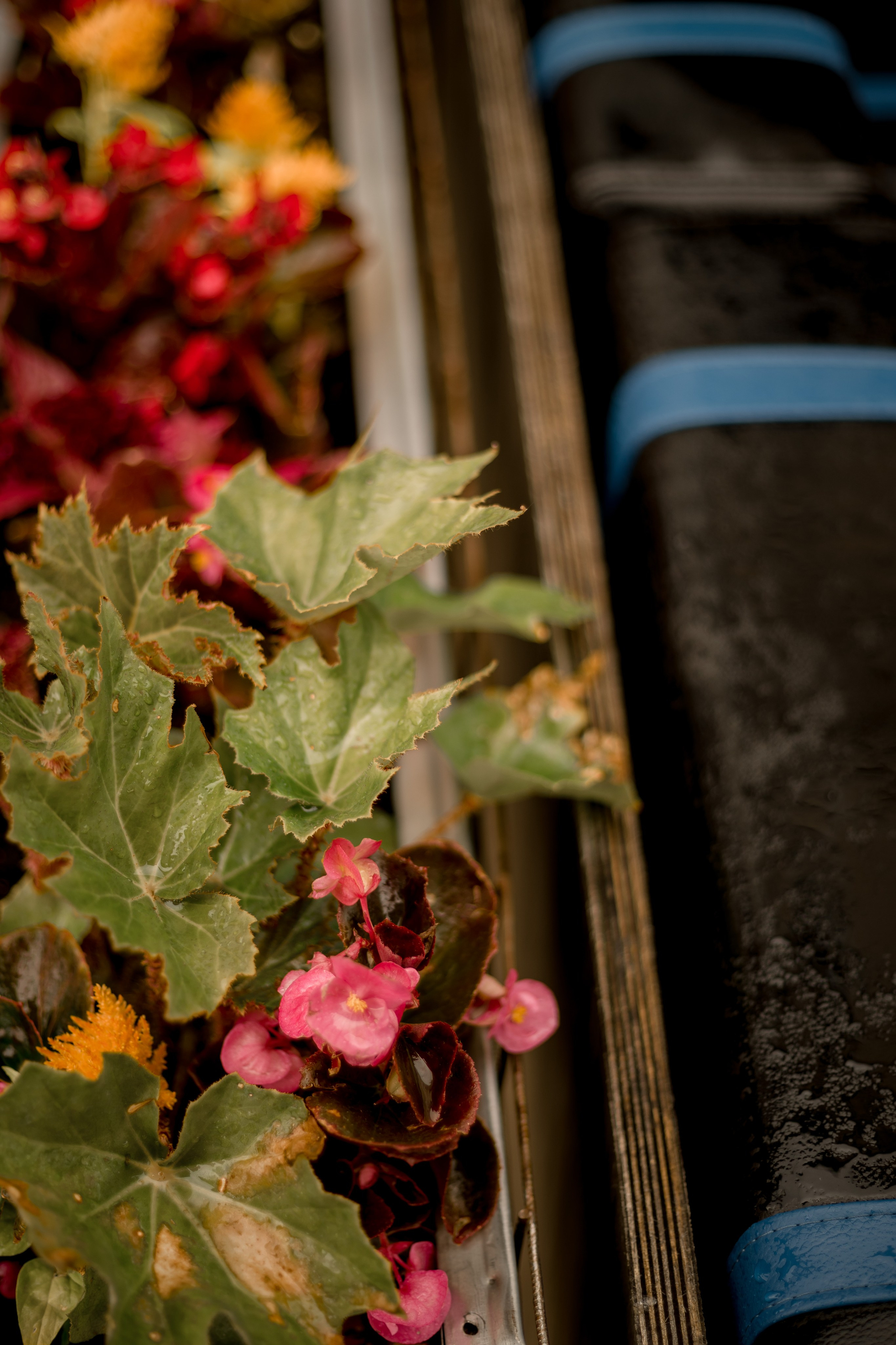 Фотомедитация с Марией Гулыниной. Контент-фотограф в Нижнем Новгороде Антошина Ольга