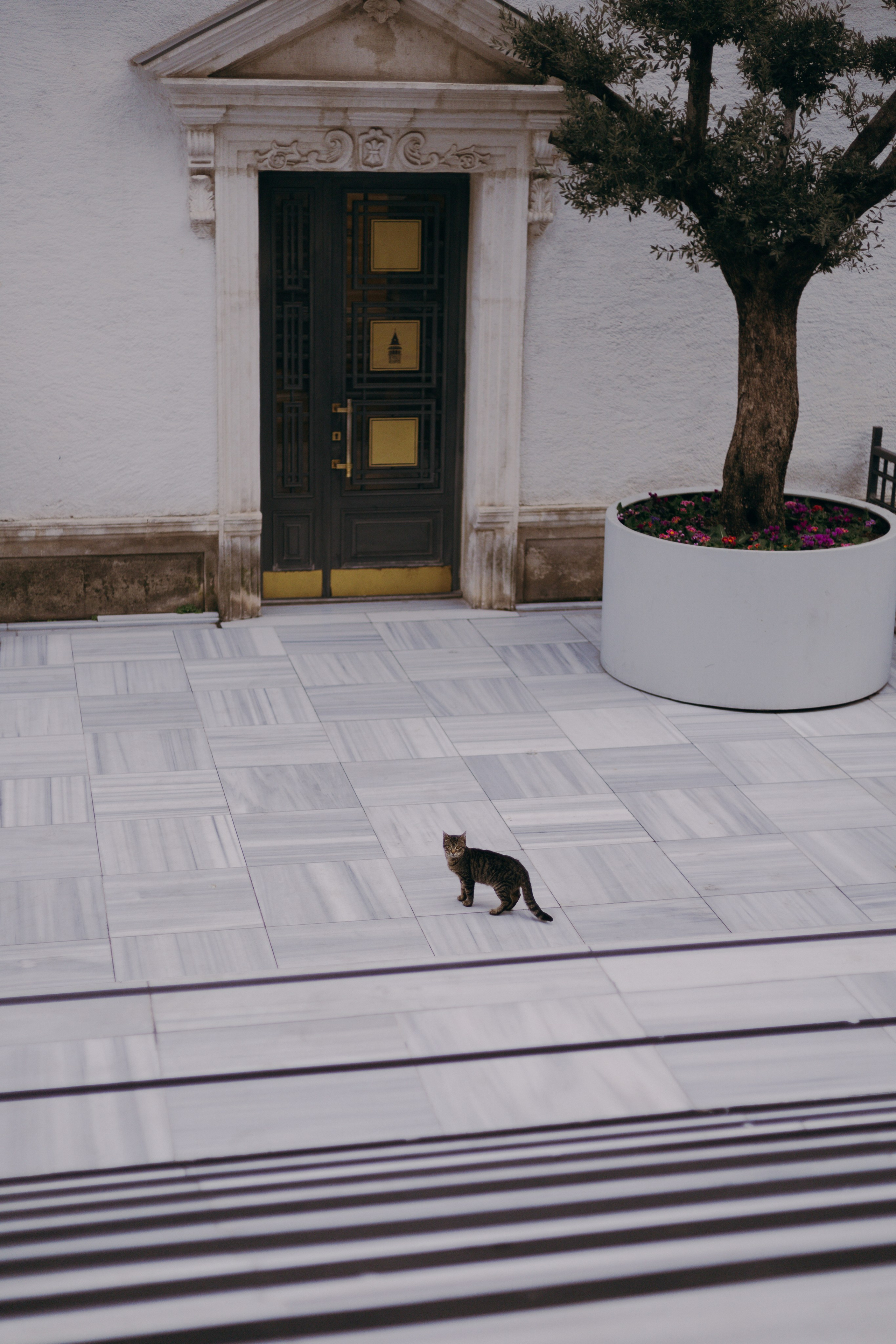 Стамбул. Профессиональный Фотограф во Владимире, в Москве и в Суздале — Полина Романычева