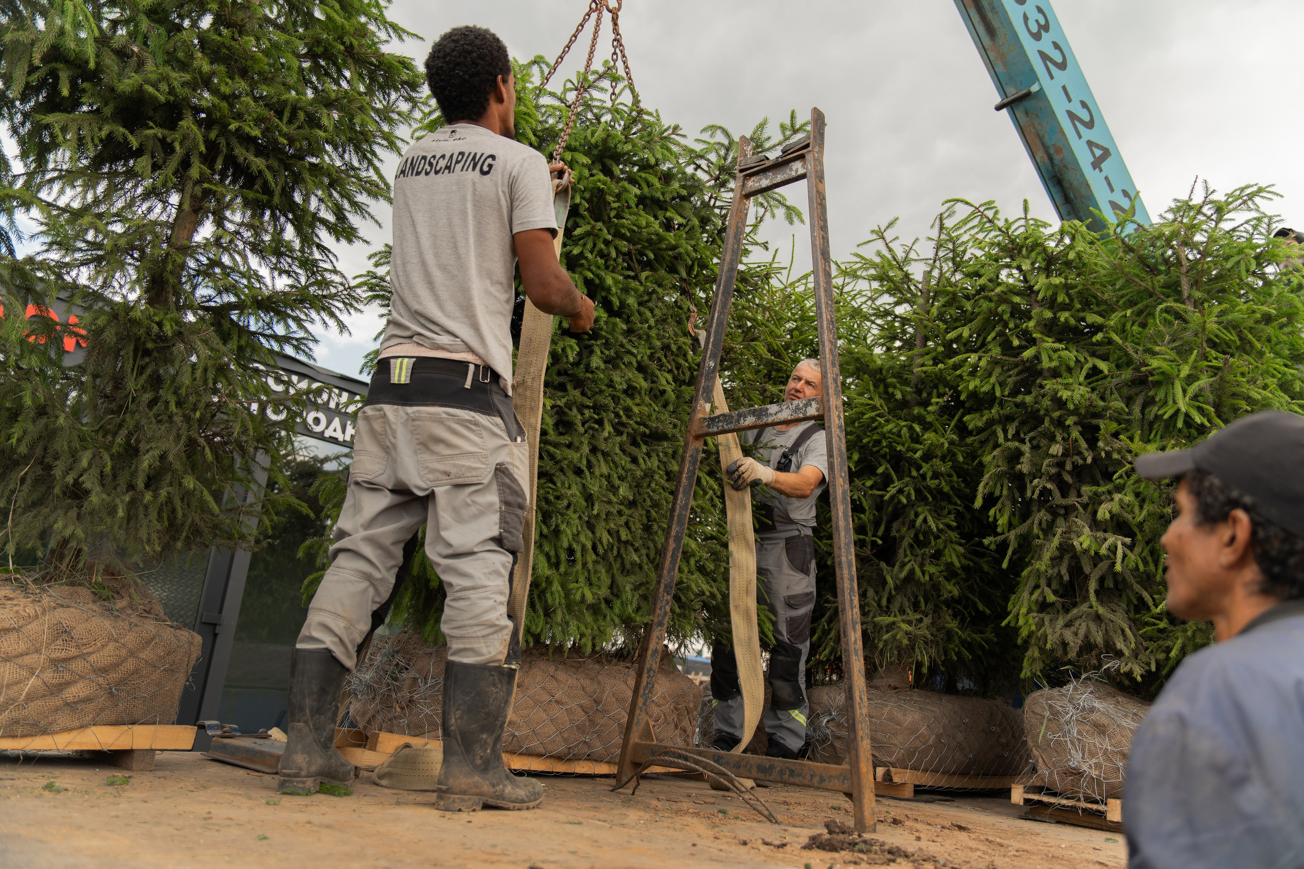 Этап ландшафтных работ. Автомобильный фотограф Светлана Усова