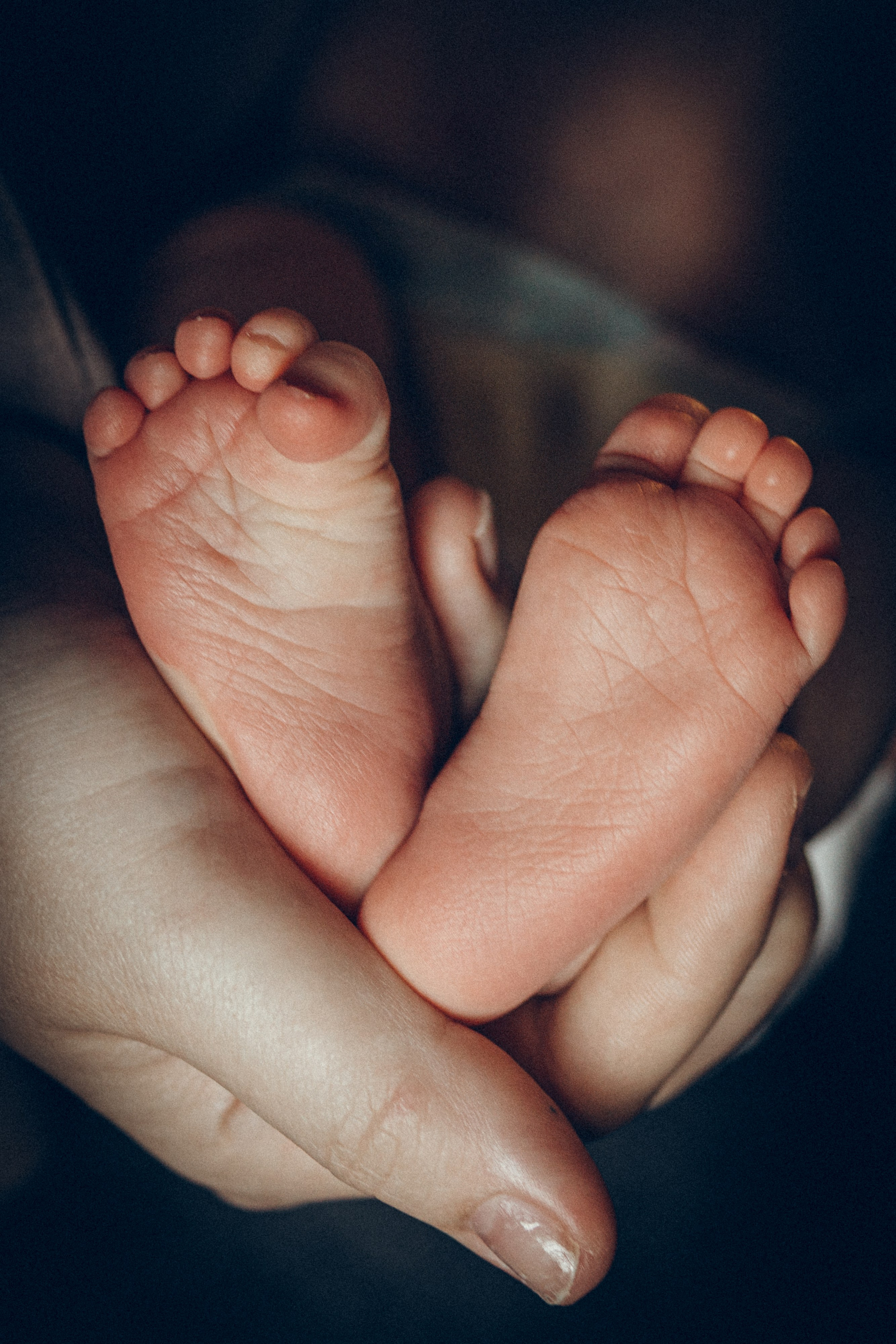 Света, Женя, Кирилл и Мышка. Семейный фотограф и фотограф на роды в Ростове-на-Дону Мухина Виктория