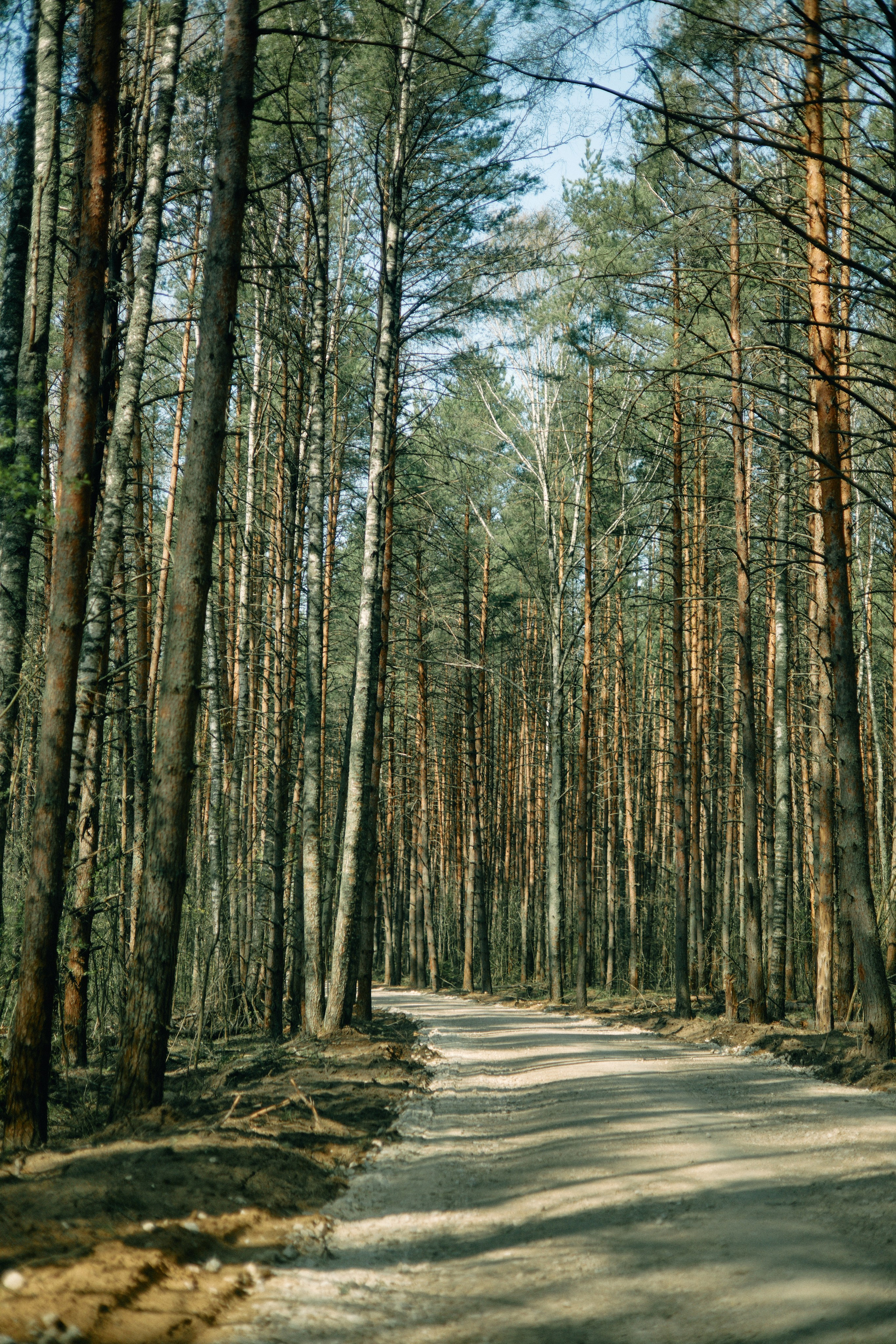 Бутик-отель Поле летом. Профессиональный Фотограф во Владимире, в Москве и в Суздале — Полина Романычева