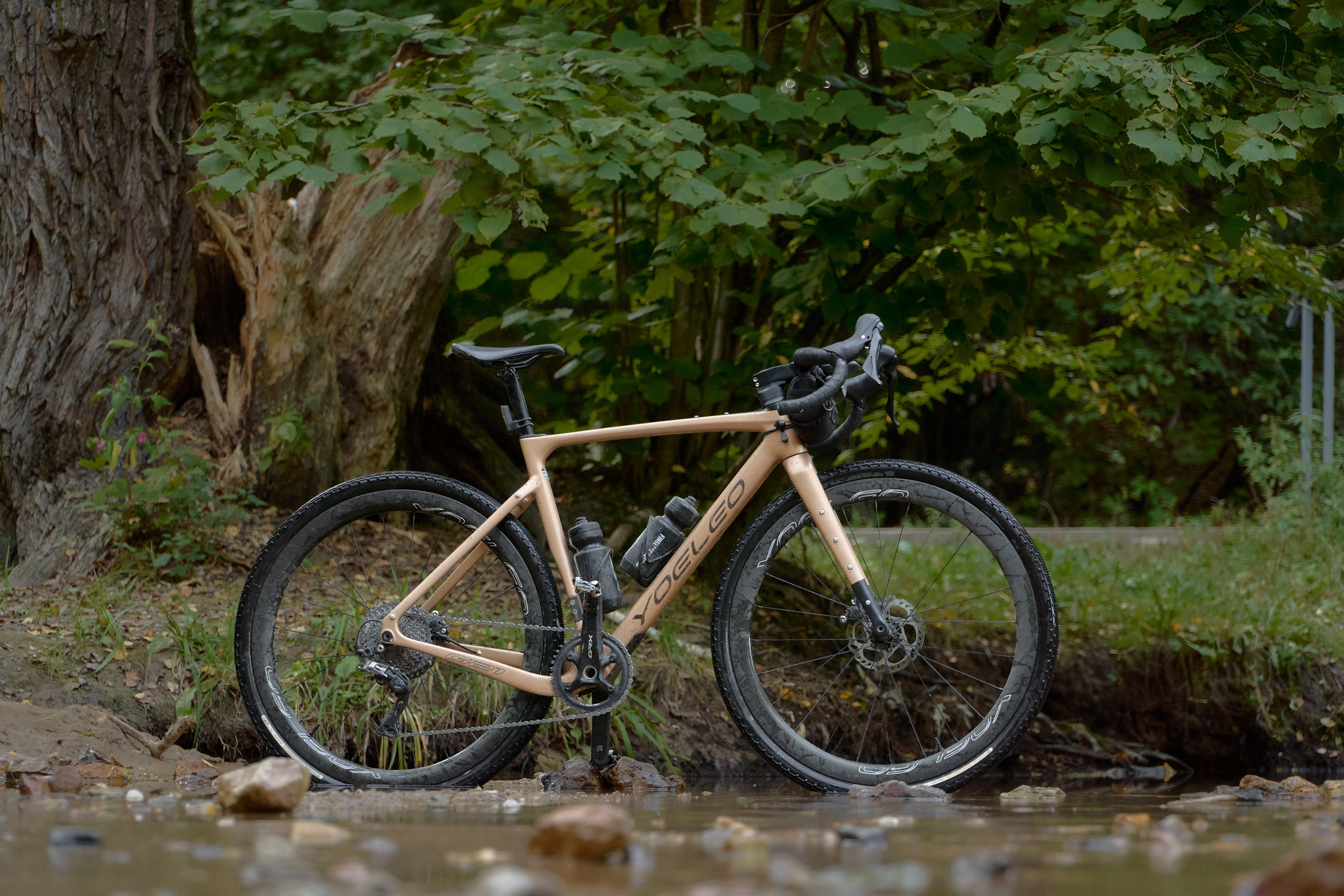 Yoeleo G21 для Мosgorbike. Еремина Катерина