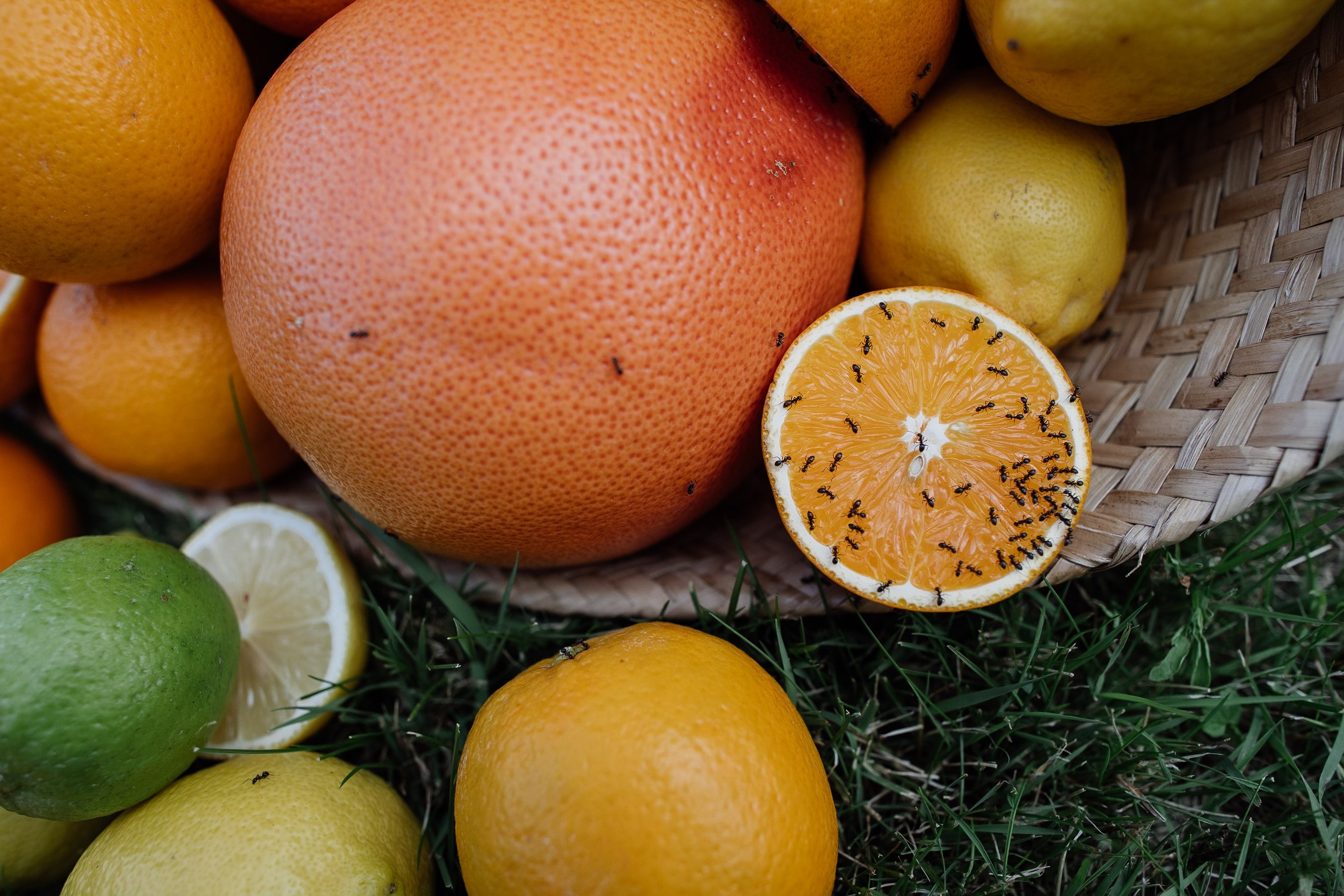 HOLDING_OUT_OF_THE_HERO. Wedding photographer in Europe