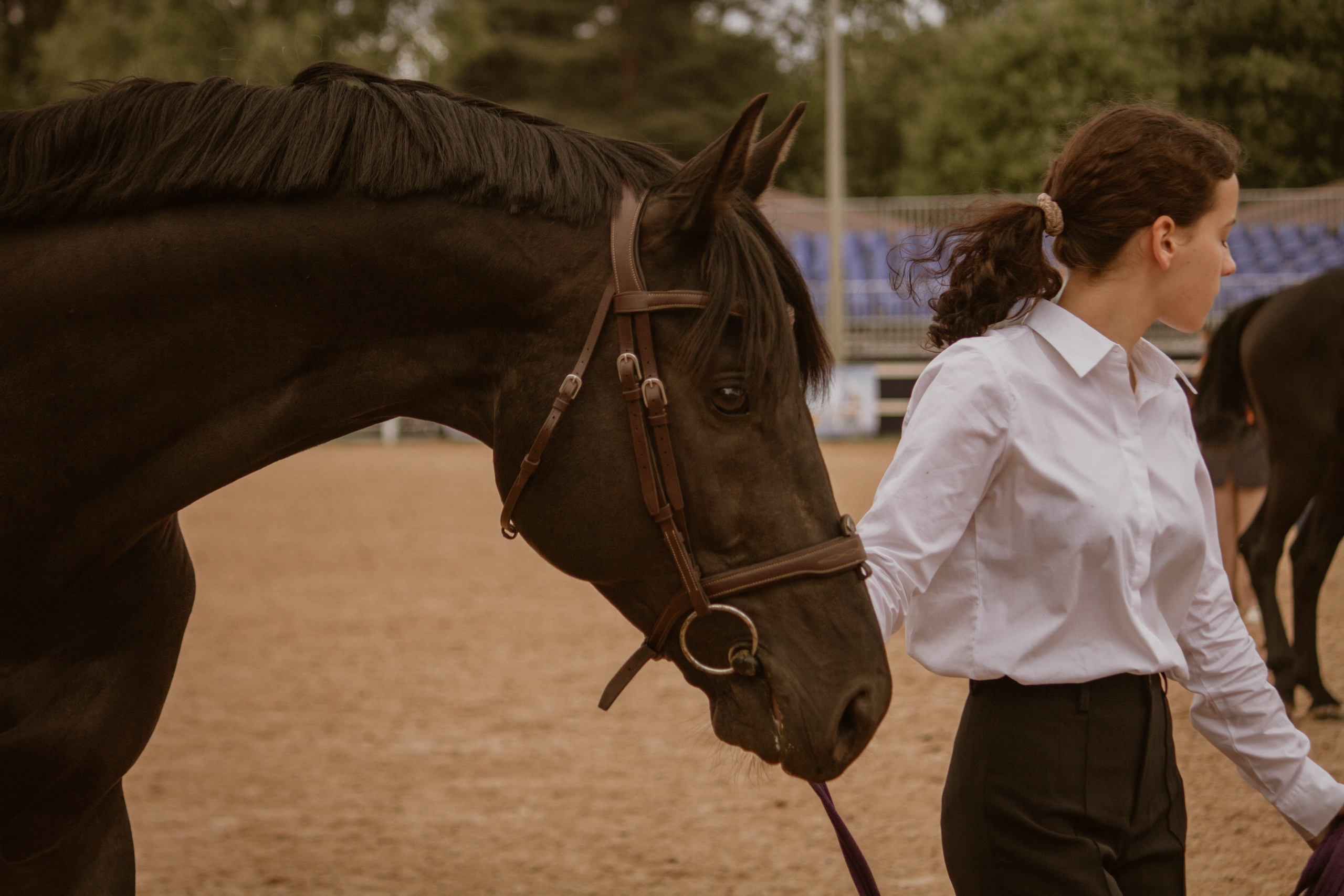ИППОСФЕРА — Международная конная выставка. Создадим шедевр? Виталина и её фотоискусство