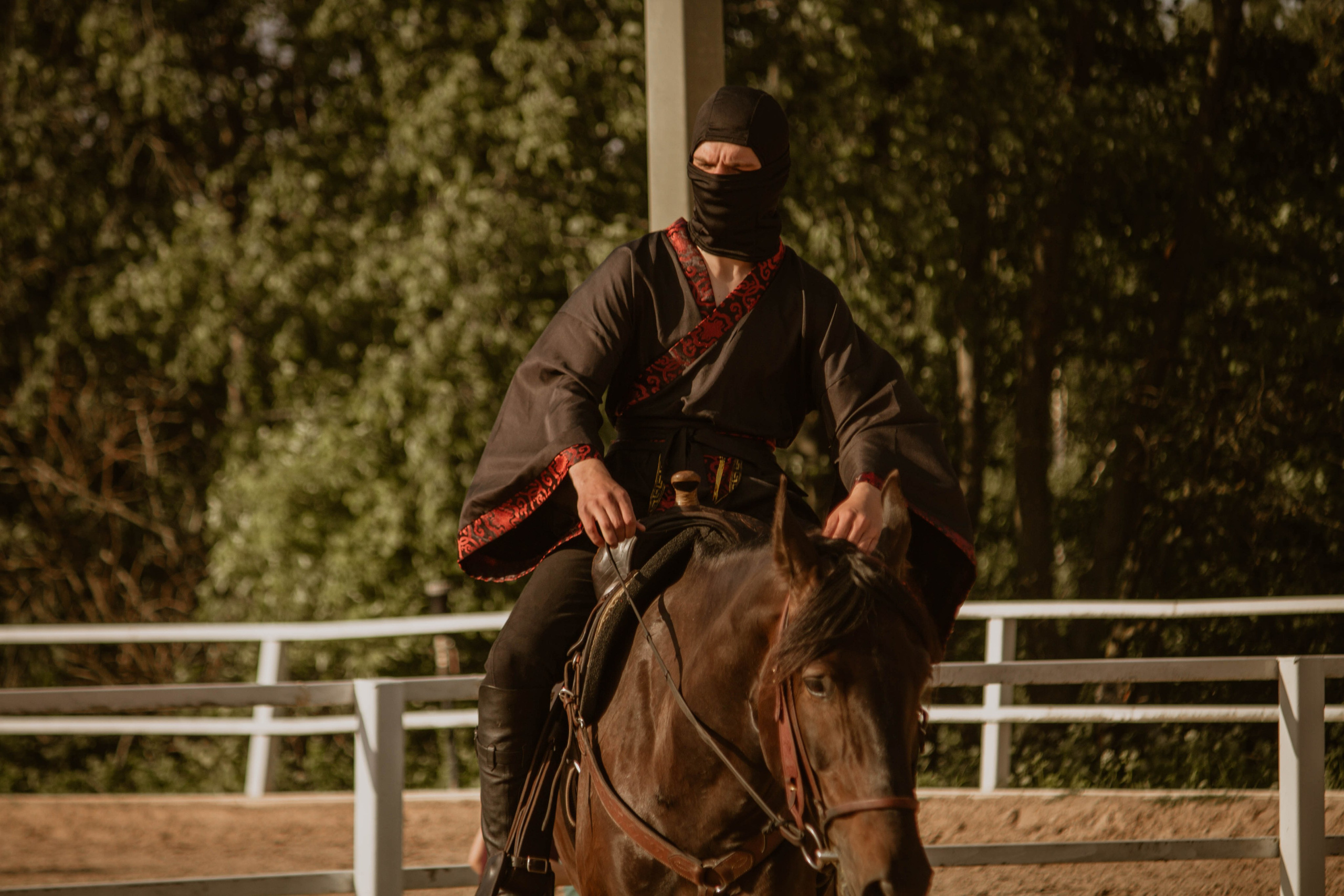 ИППОСФЕРА — Международная конная выставка. Создадим шедевр? Виталина и её фотоискусство