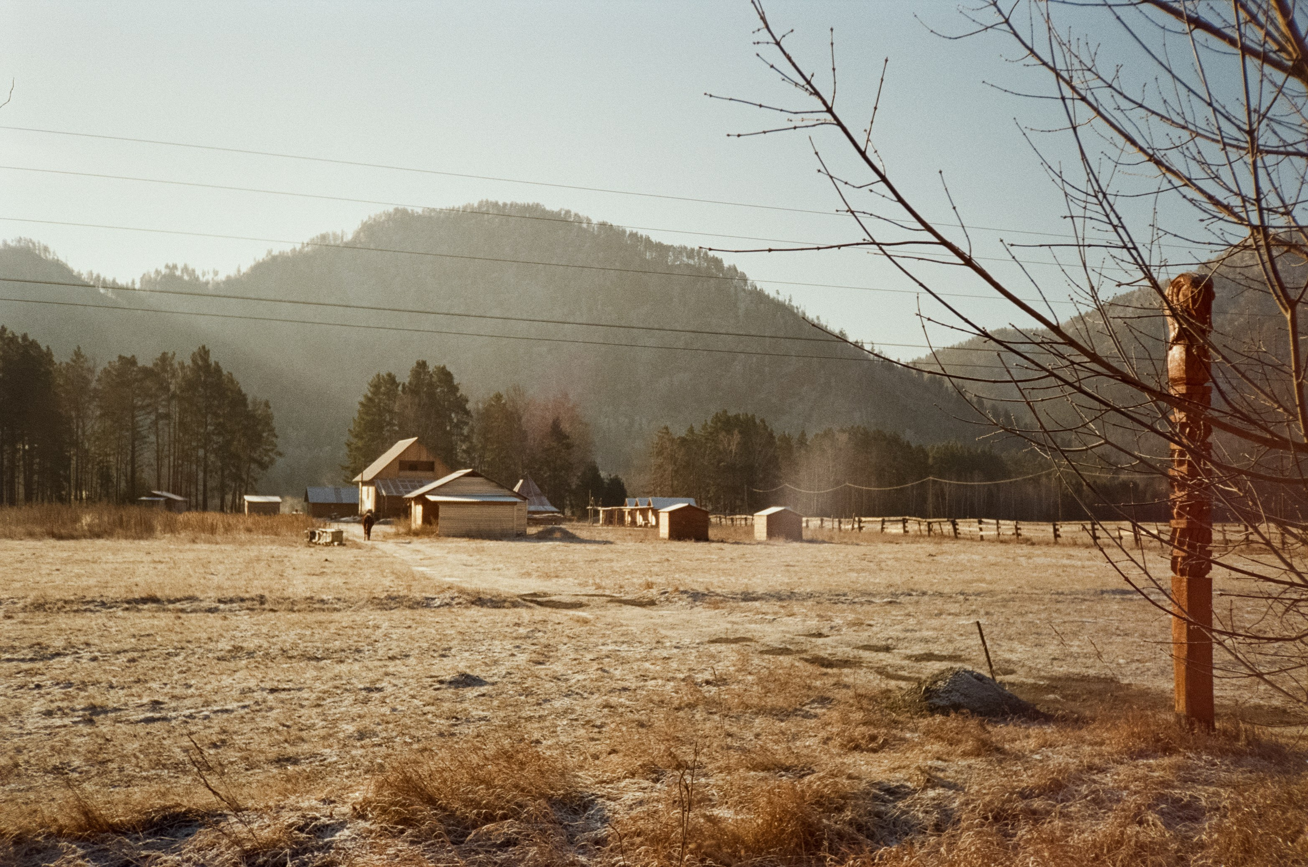 Дорога до Coffee Bus по Чемальскому тракту и Кедровый остров. Фотограф-документалист Мария Осокина
