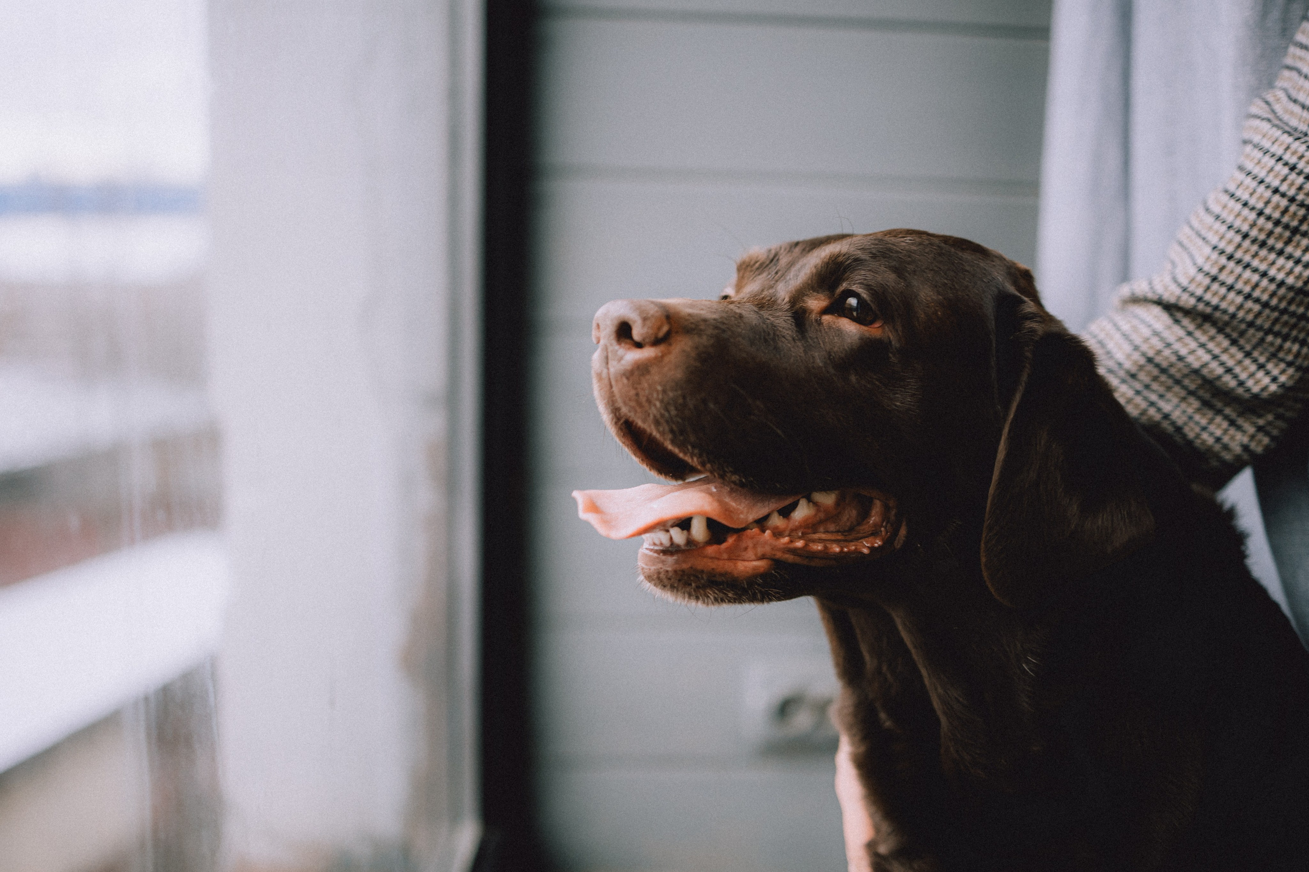 Ума, Берта и их семья