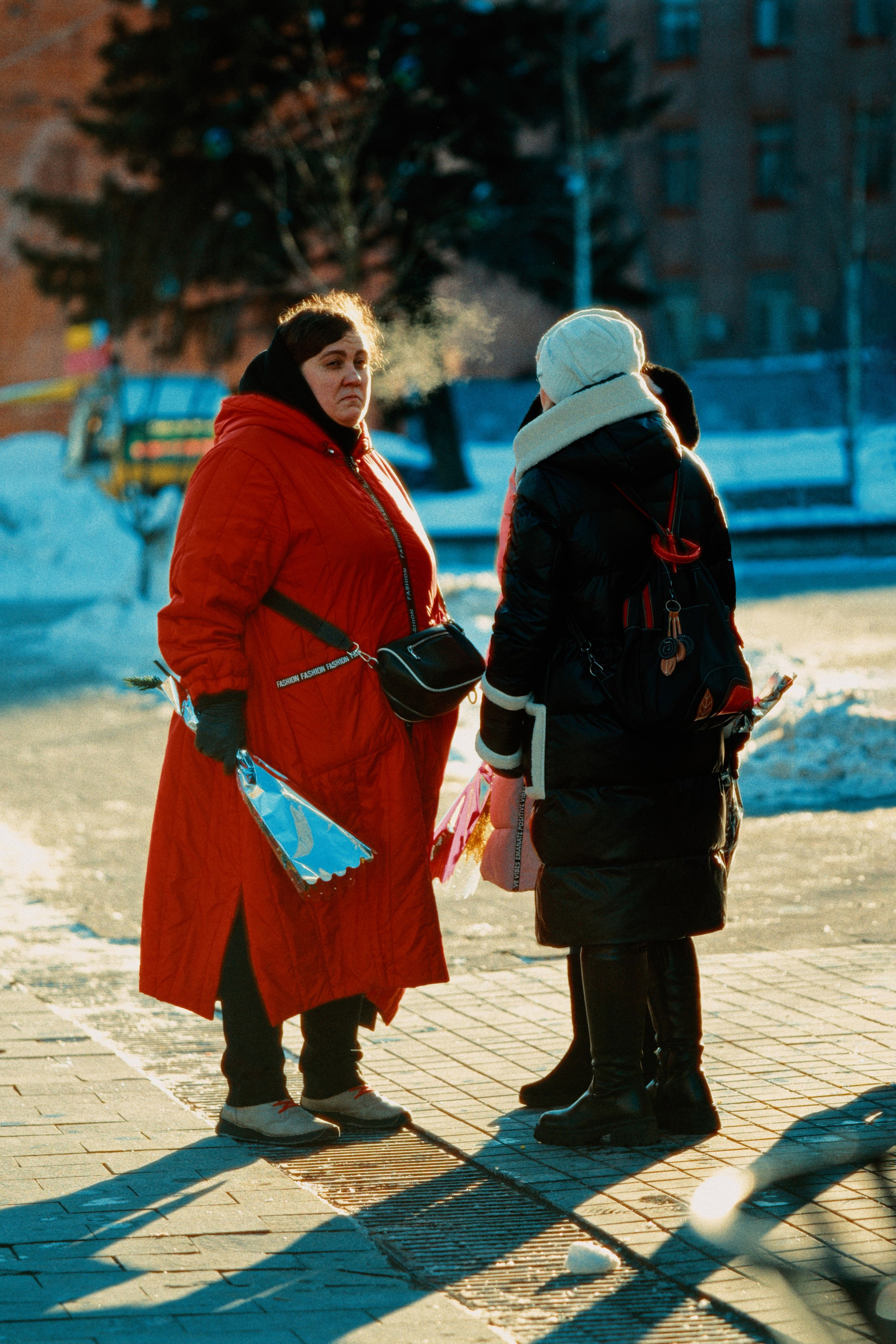 Город в цветах
