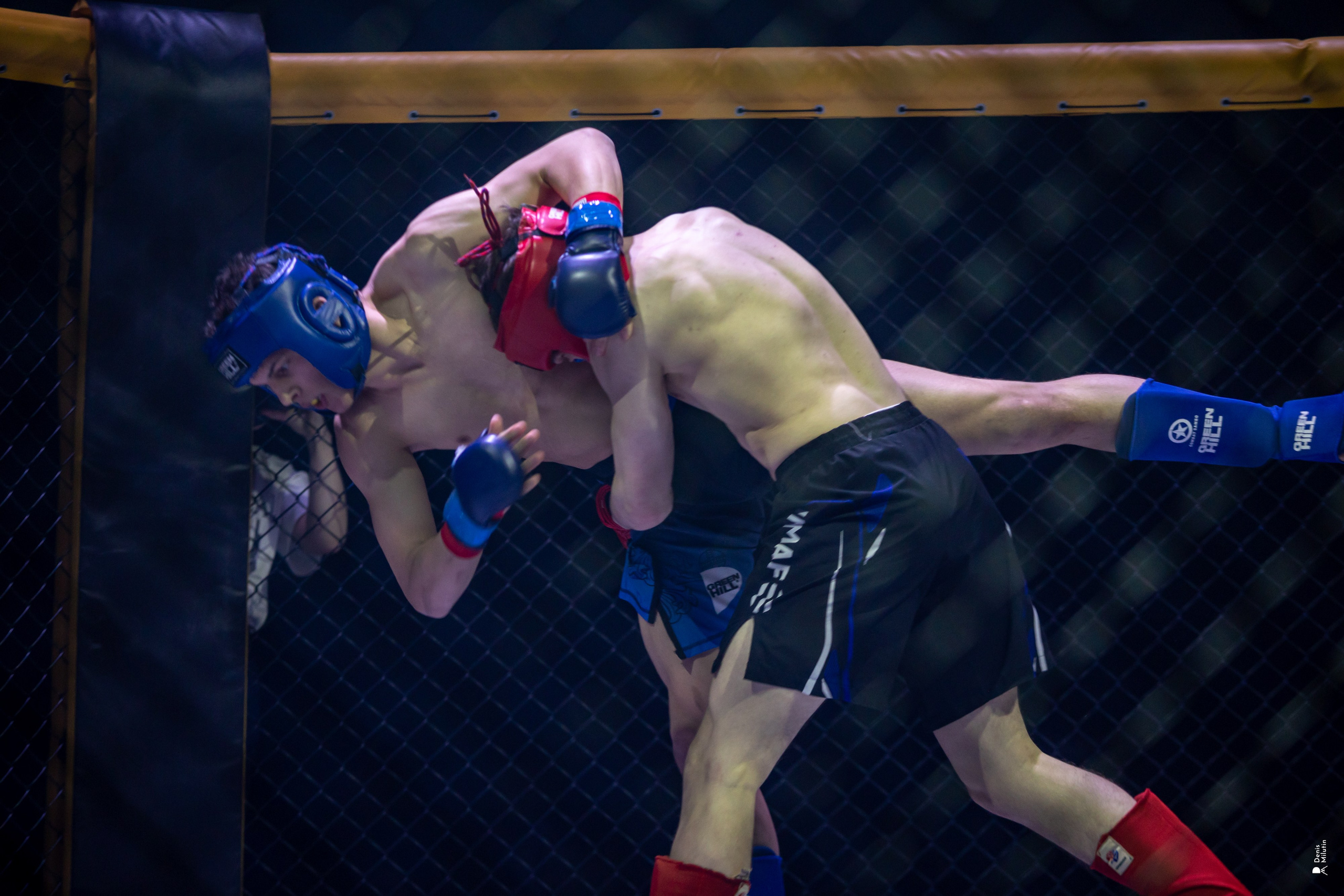 Бои в клетке «Северный Воин». Портретный фотограф Денис Милютин