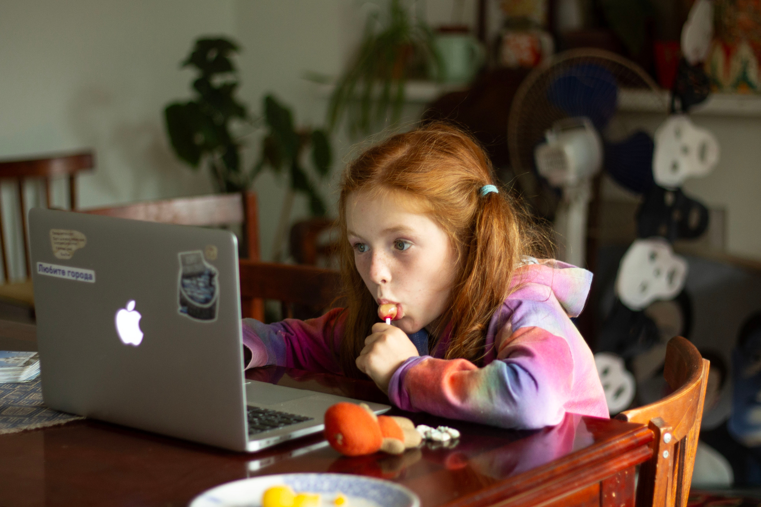 Дом — полная чаша