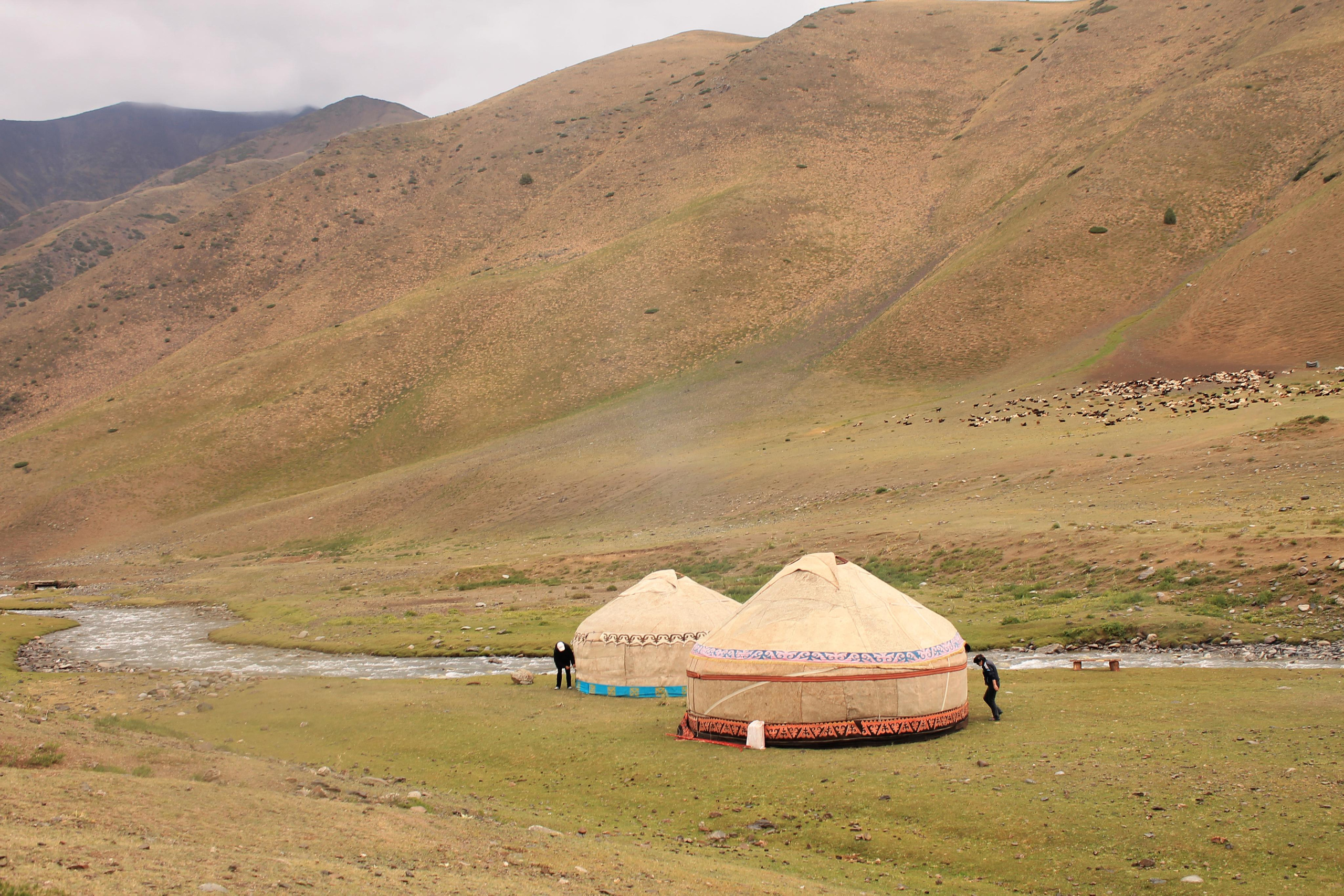 Домашний штрих