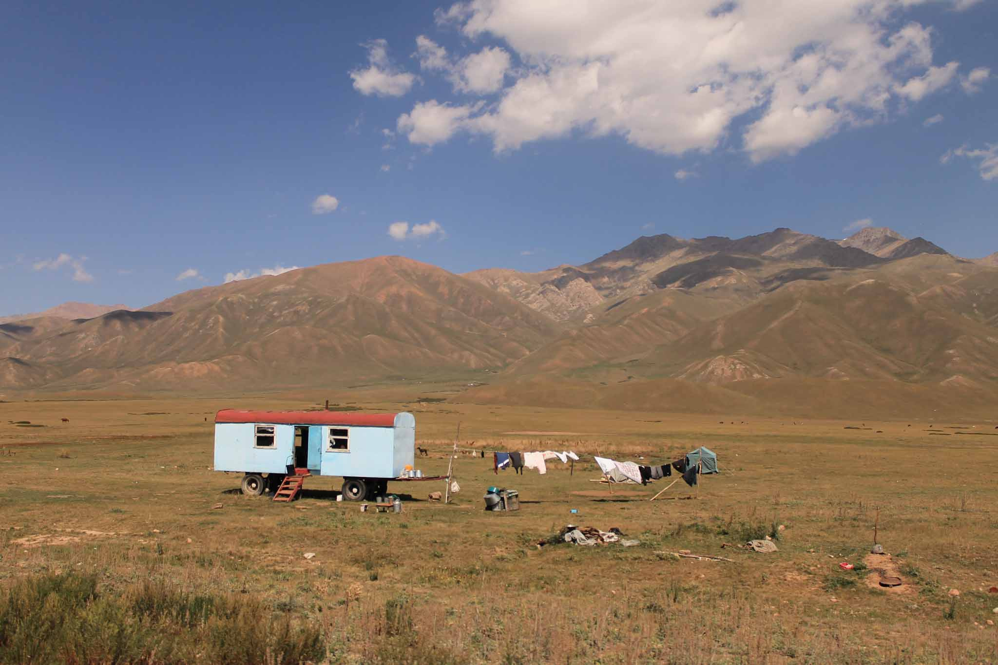 Anna Karamurzina Visual Artist Home Dash Project