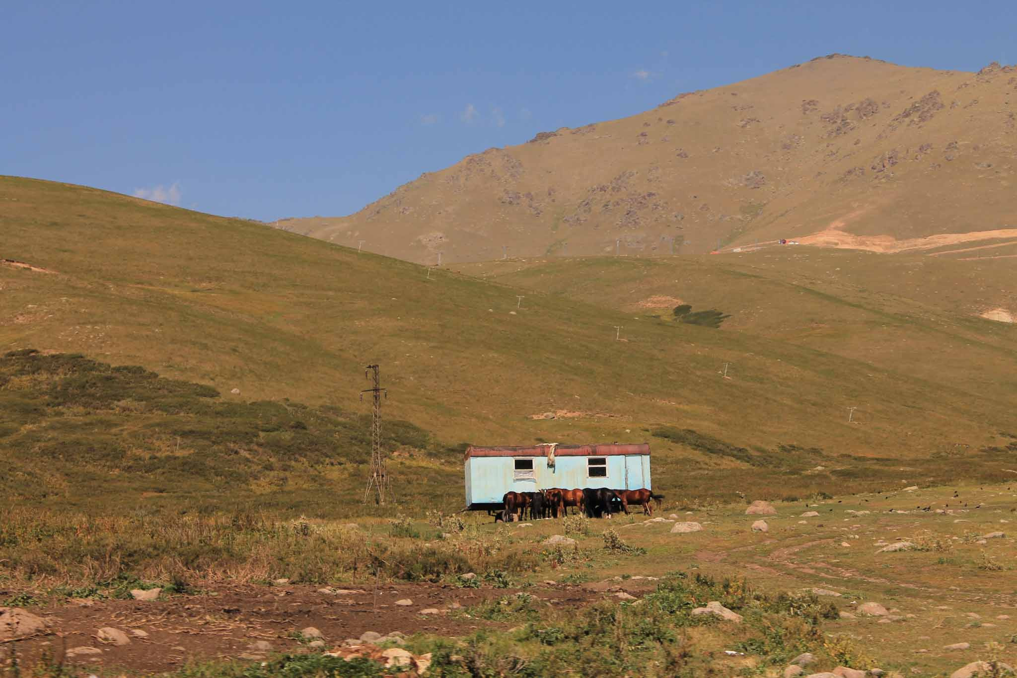 Домашний штрих