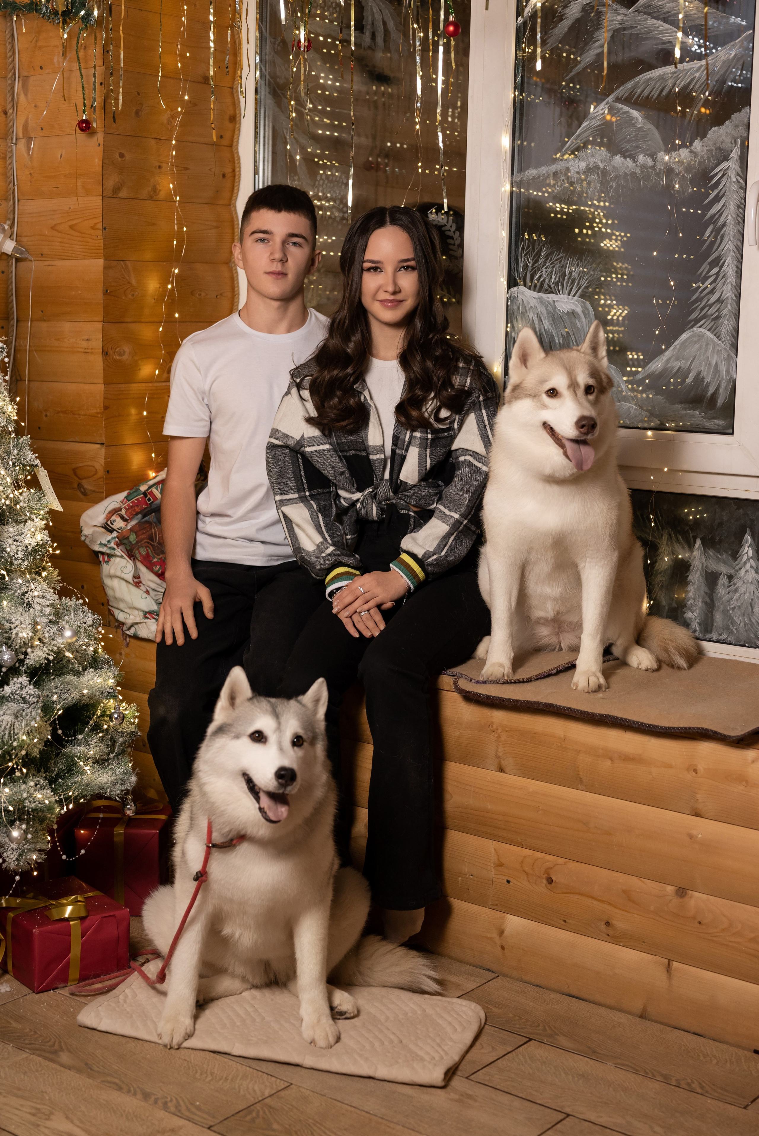 Фотопроект с хаски в частном доме. Фотограф в городе Салават