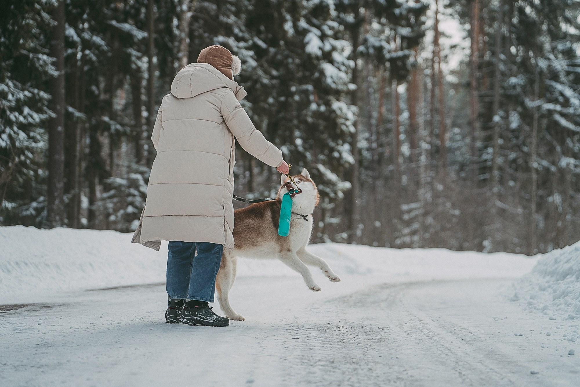 Полина, Уго и Пышка. Фотограф анималист в Москве и Санкт-Петербурге Свиридова Анна