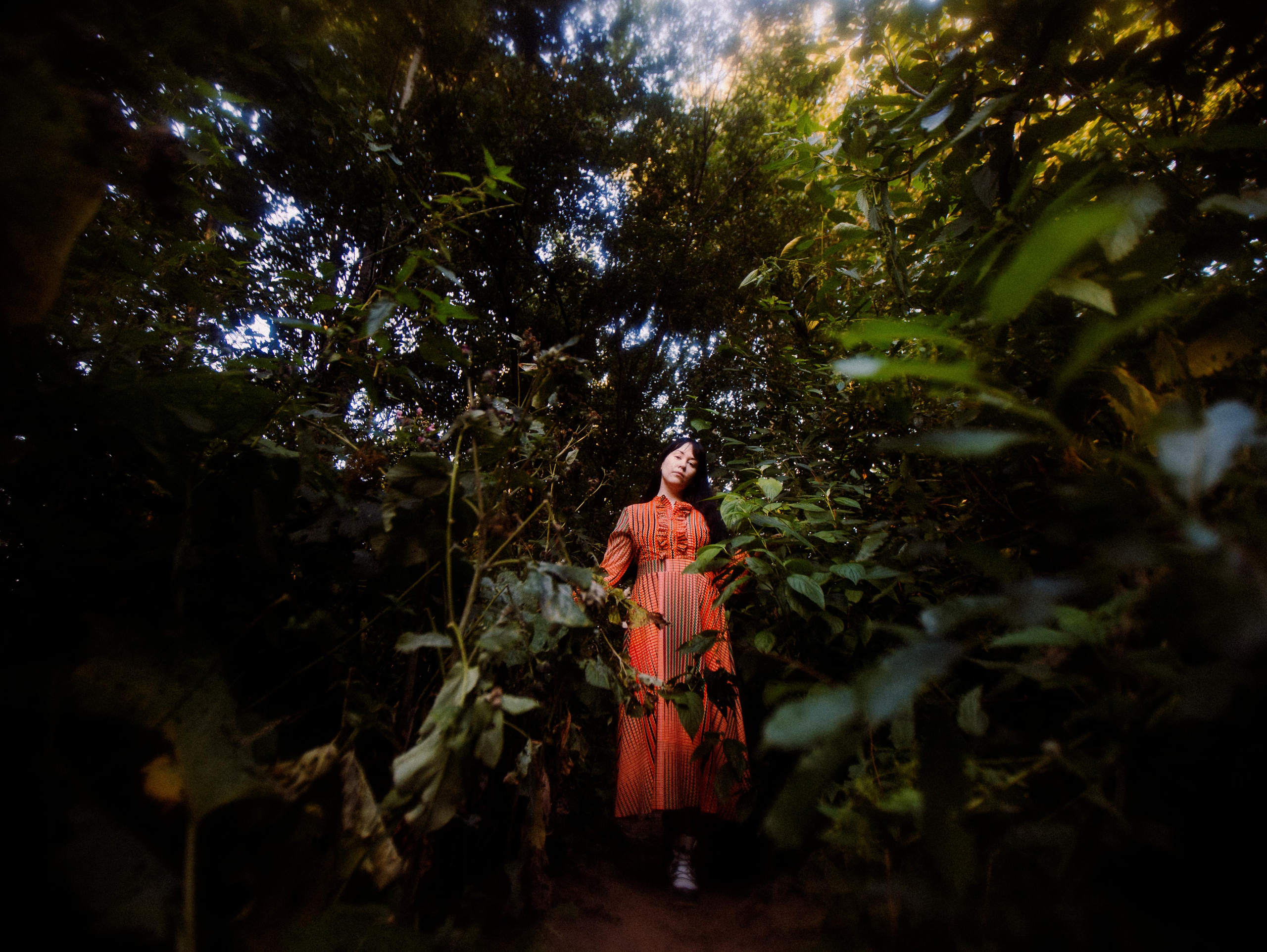 Forest zen. Фотограф Мария Немм