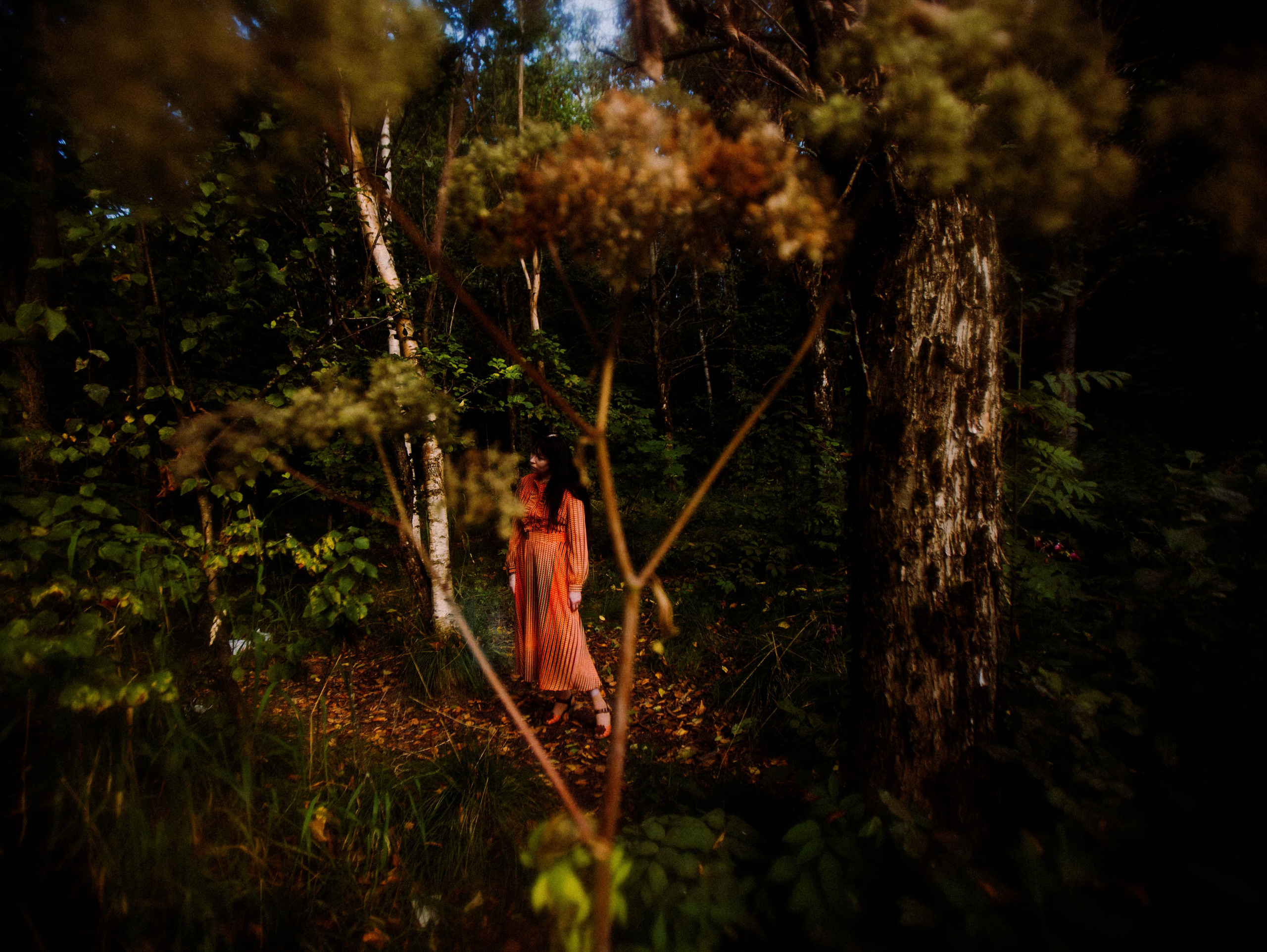 Forest zen. Фотограф Мария Немм