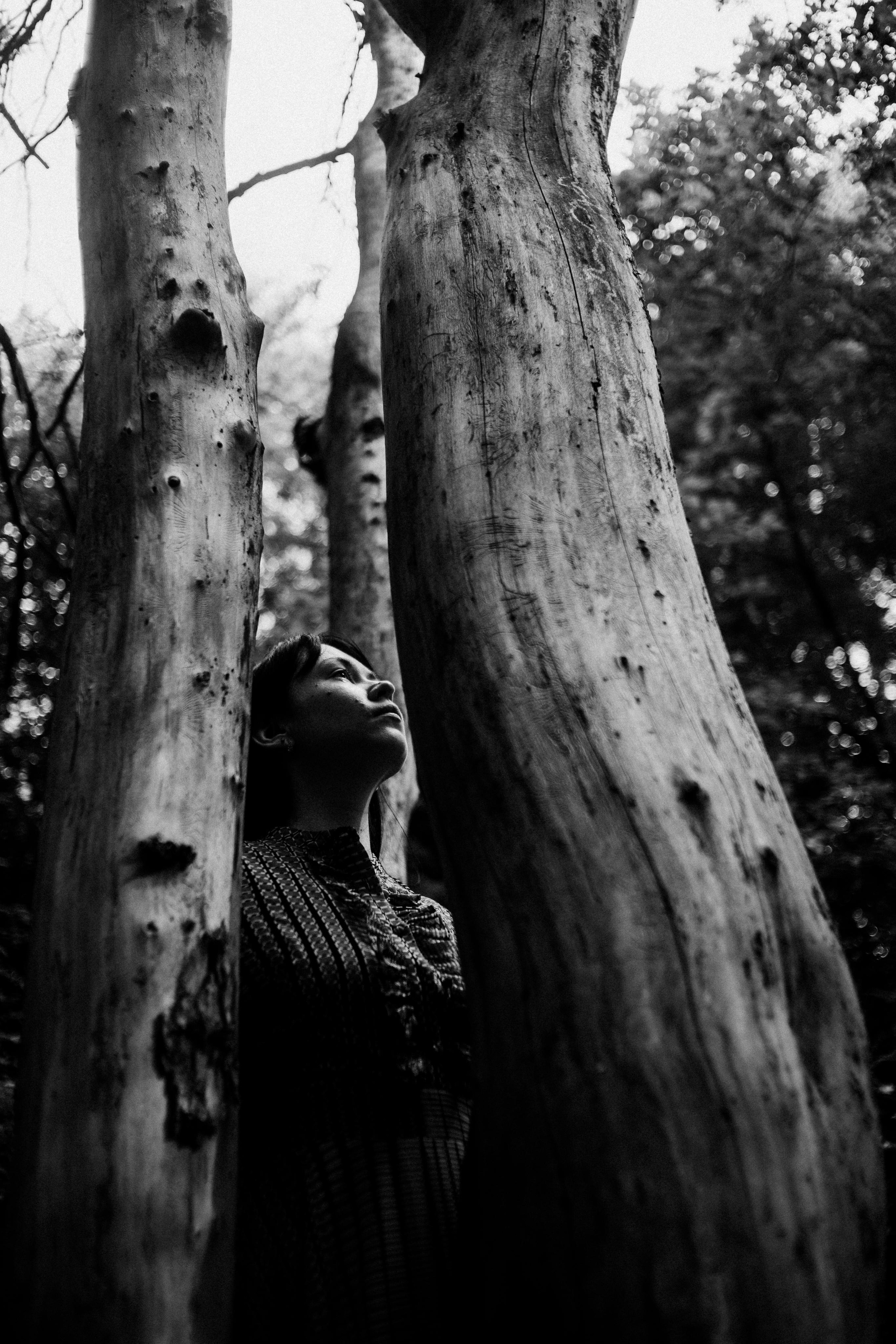 Forest zen. Фотограф Мария Немм