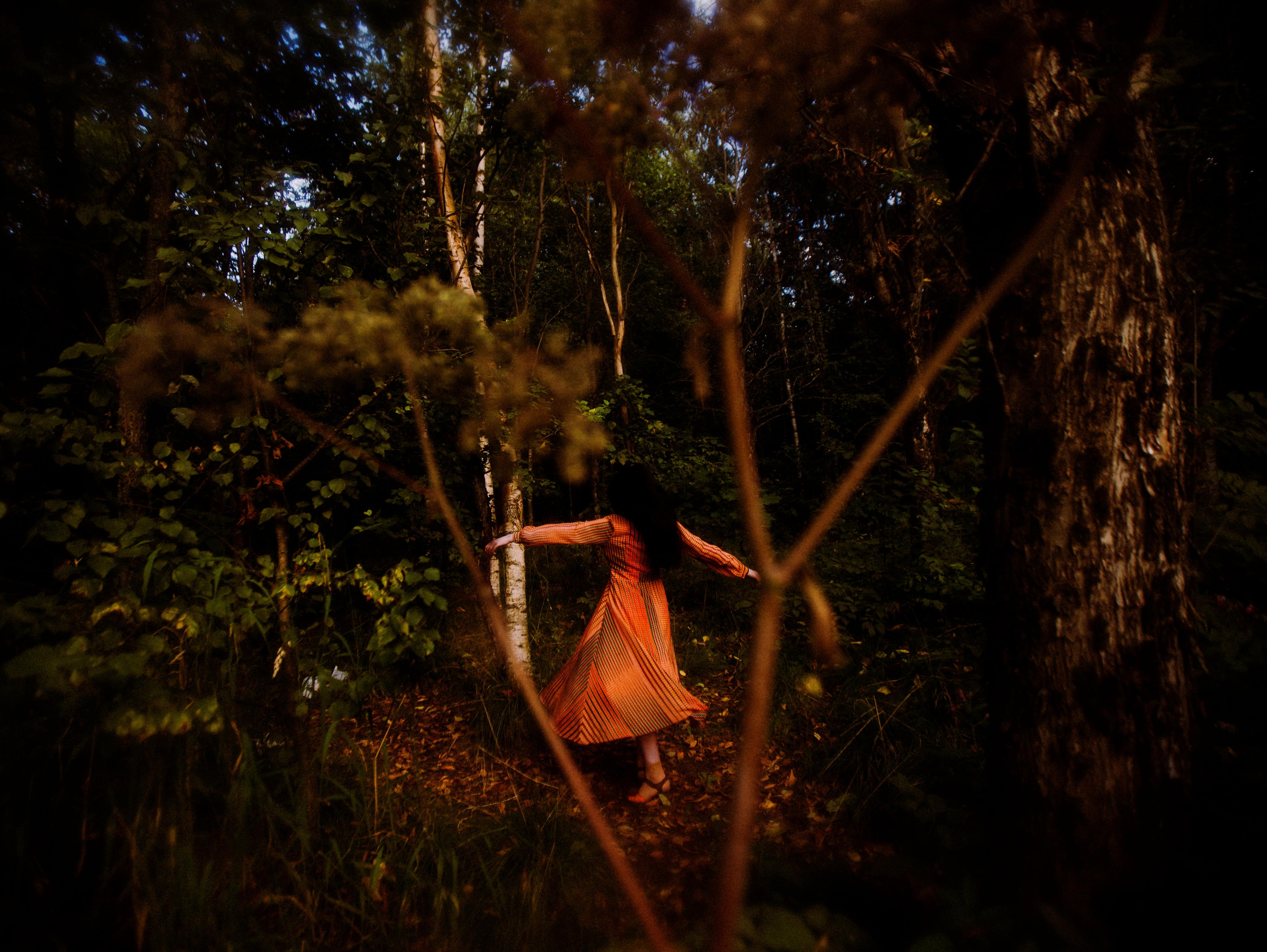 Forest zen. Фотограф Мария Немм