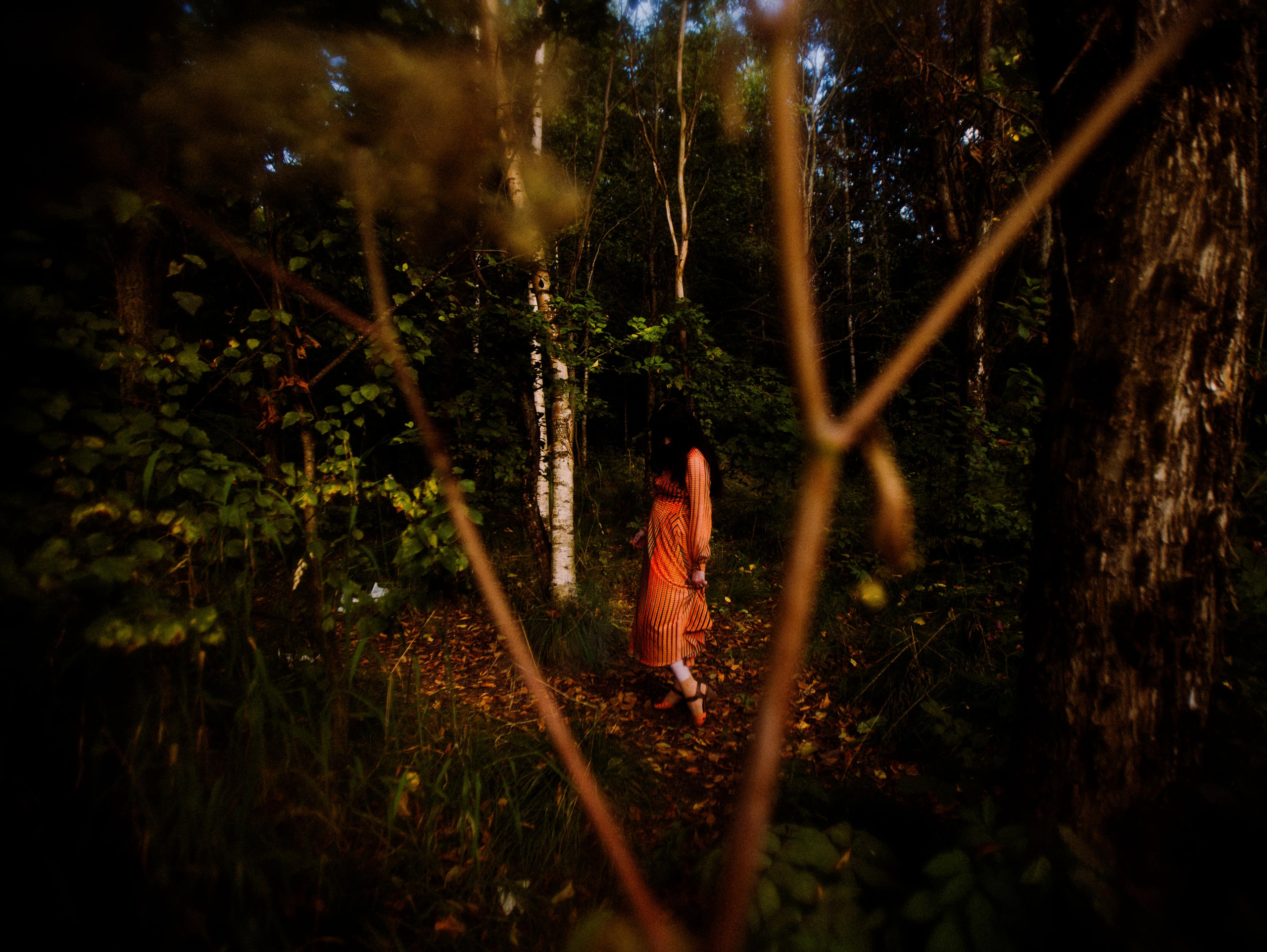 Forest zen. Фотограф Мария Немм