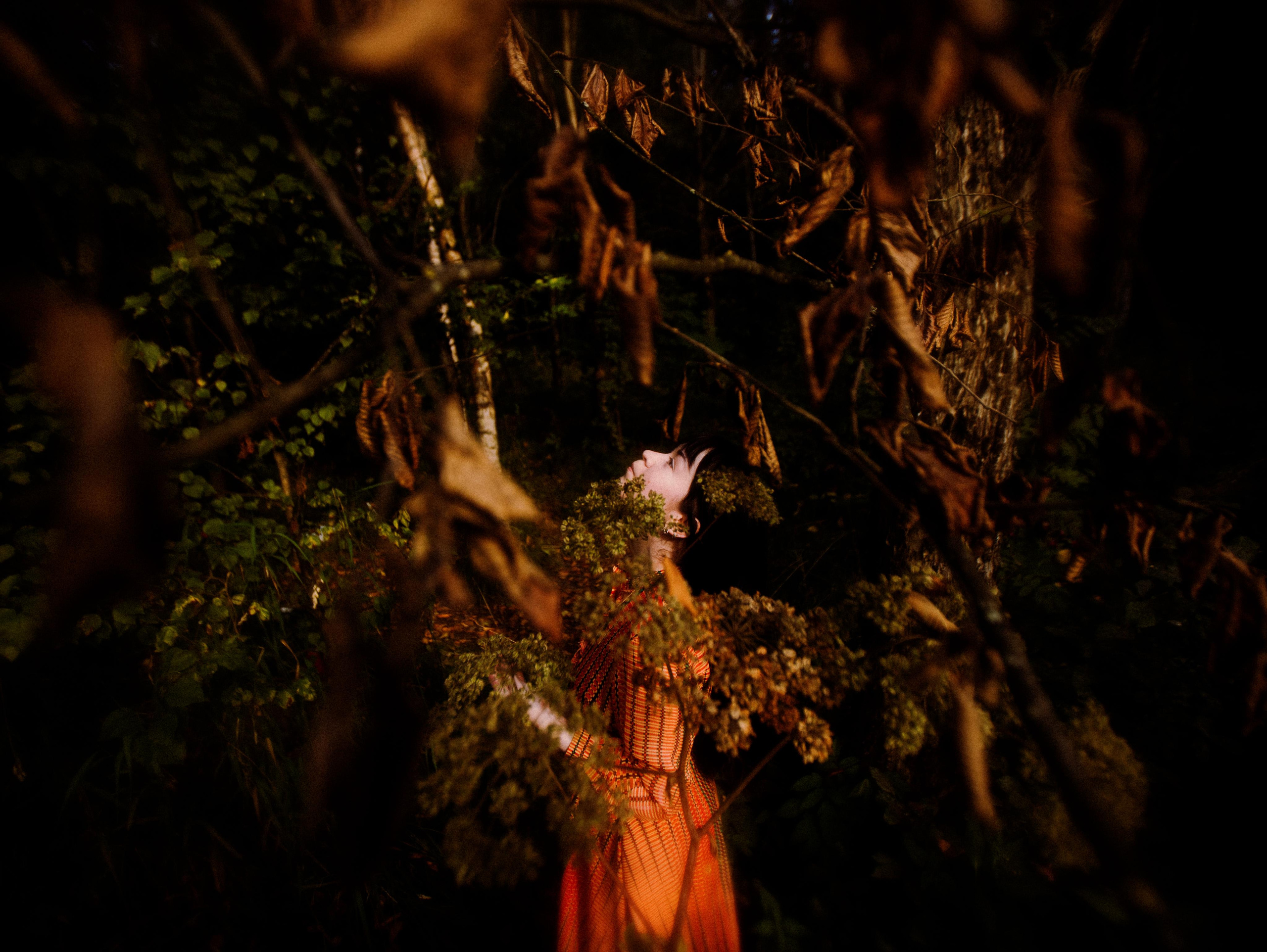 Forest zen. Фотограф Мария Немм