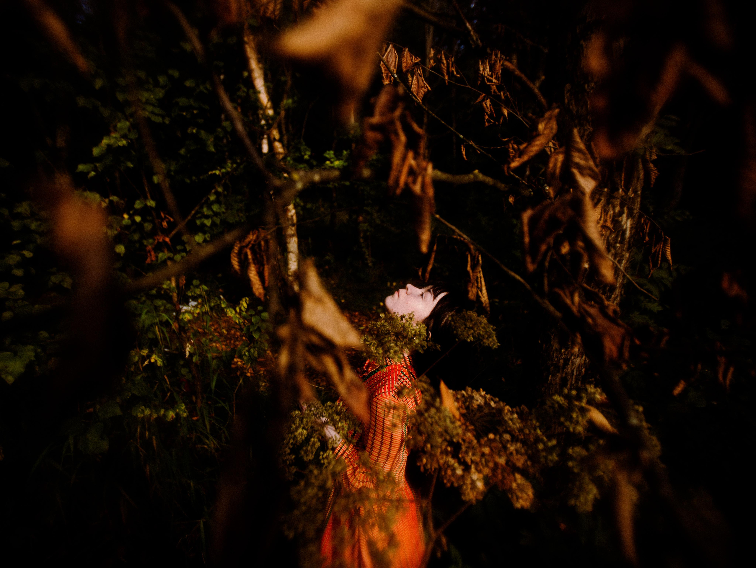Forest zen. Фотограф Мария Немм
