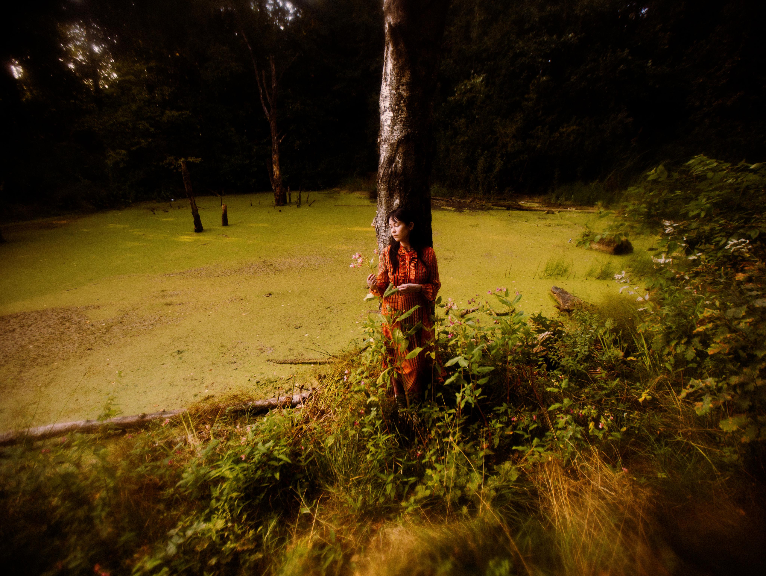 Forest zen. Фотограф Мария Немм