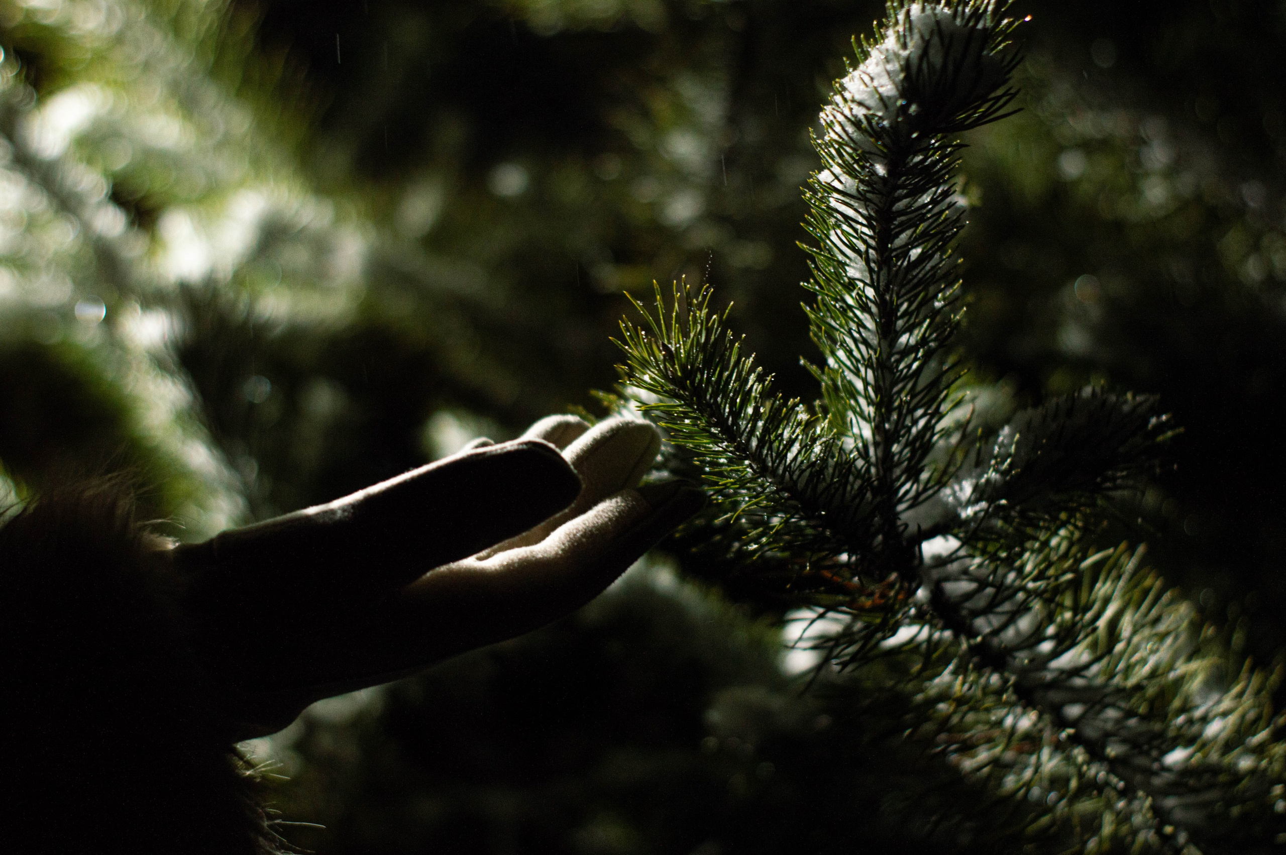 Love-story. Фотограф в Курске Монастырев Матвей