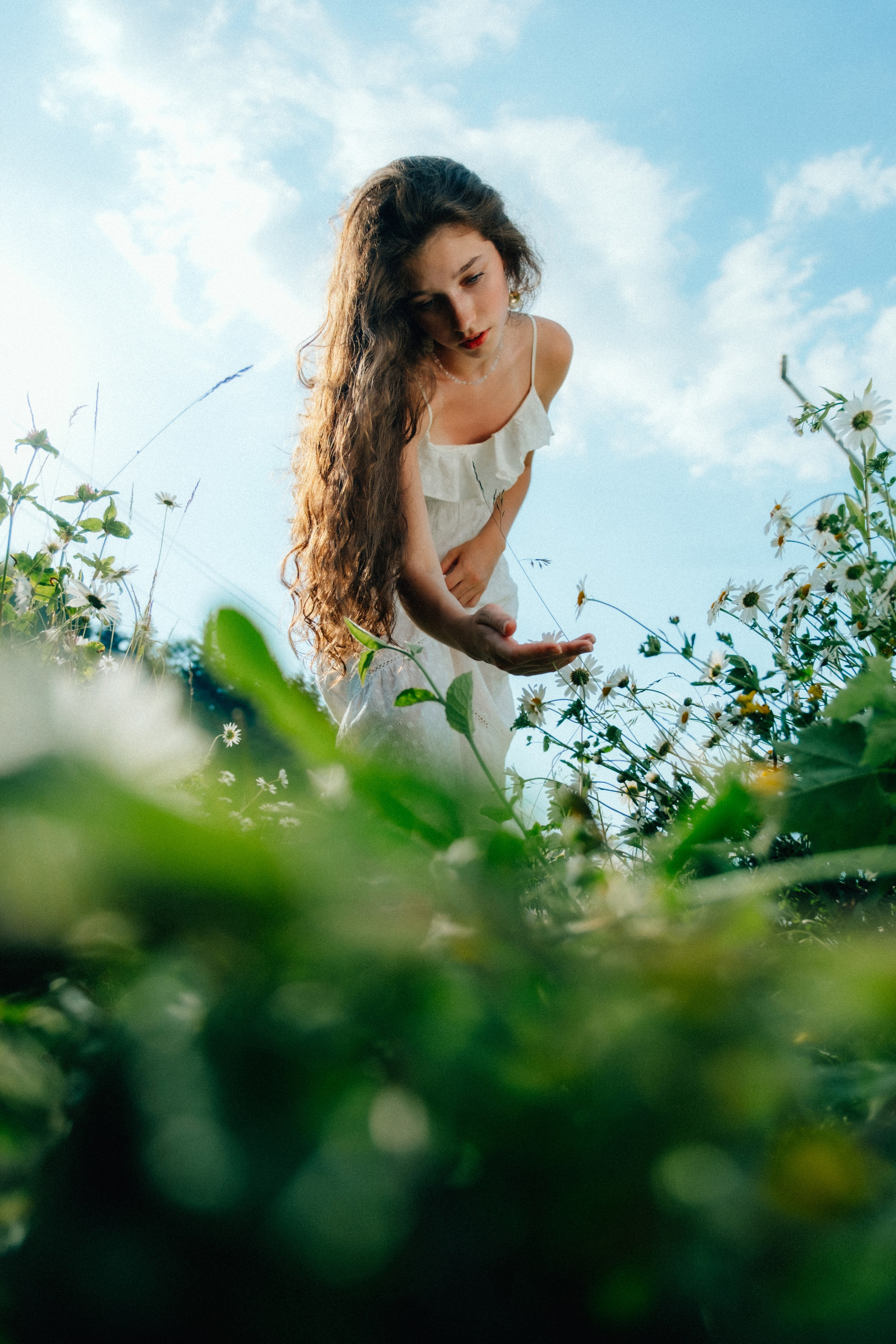 Ромашковые вершины. Репортажный фотограф в Сочи Екатерина Вежливцева