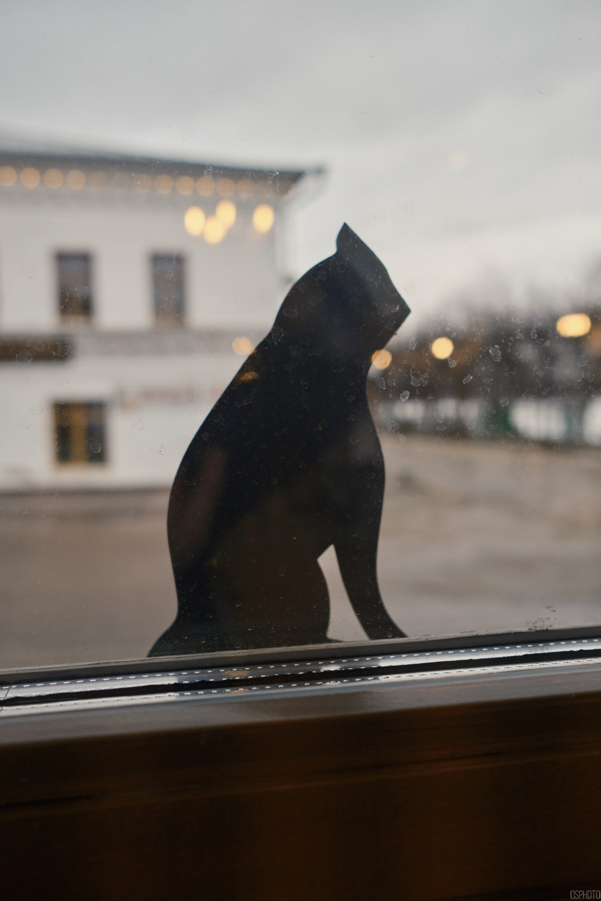 Плёс. Волга. Март. Фотографъ Сергѣевъ. Поймать мгновеніе