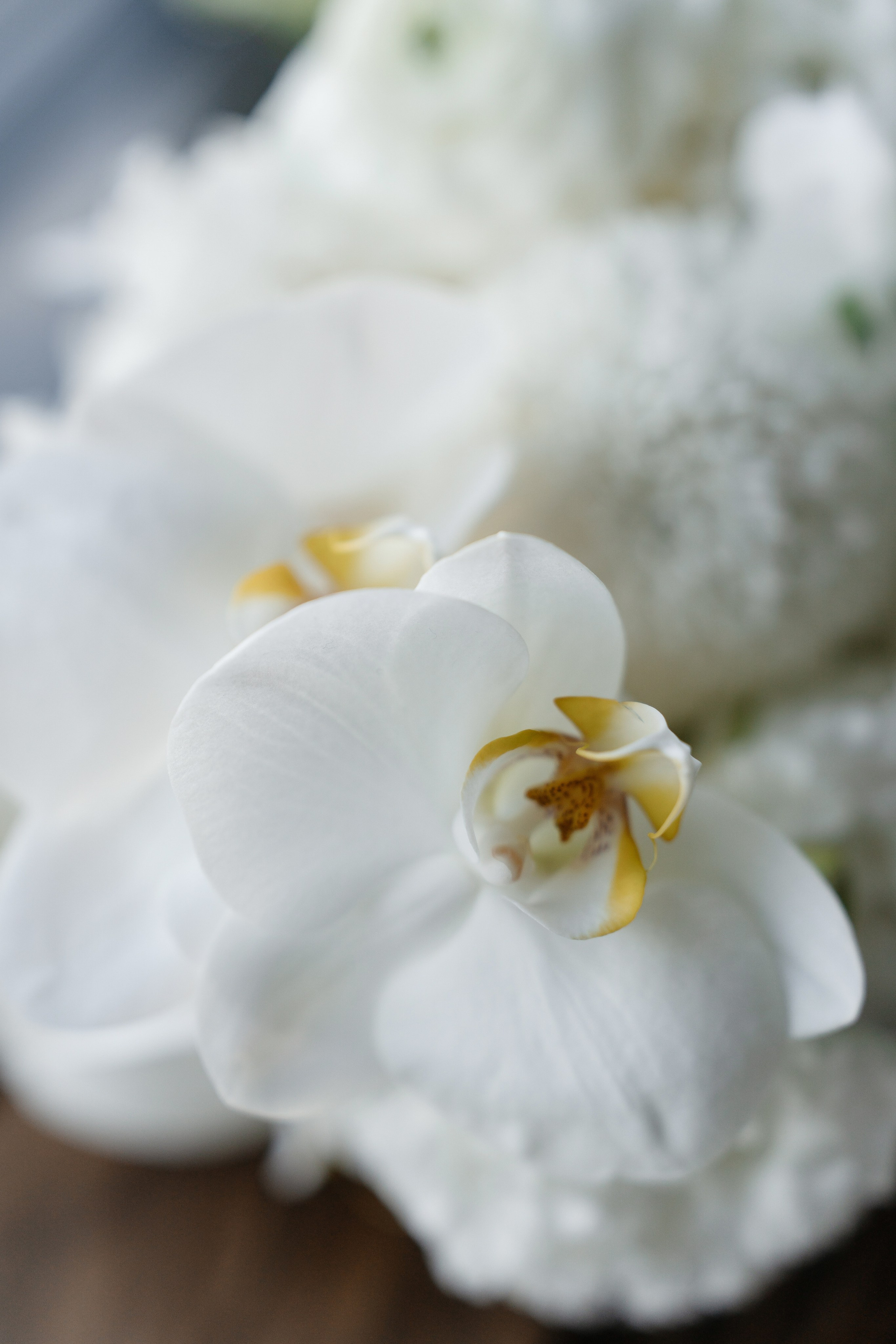 Леша и Маша. Свадебный и репортажный фотограф в Москве Андрей Вайман