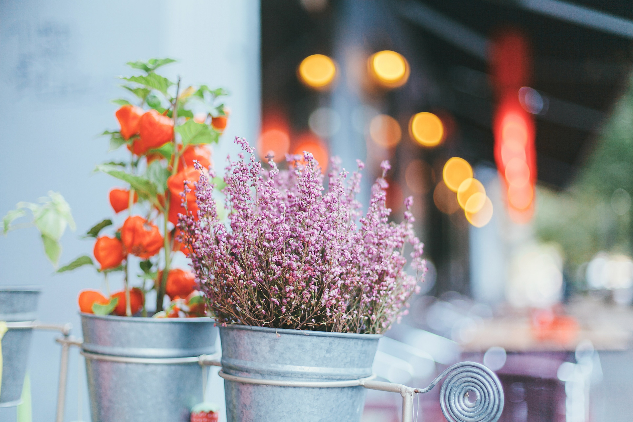 Берлин. Аня Степанова