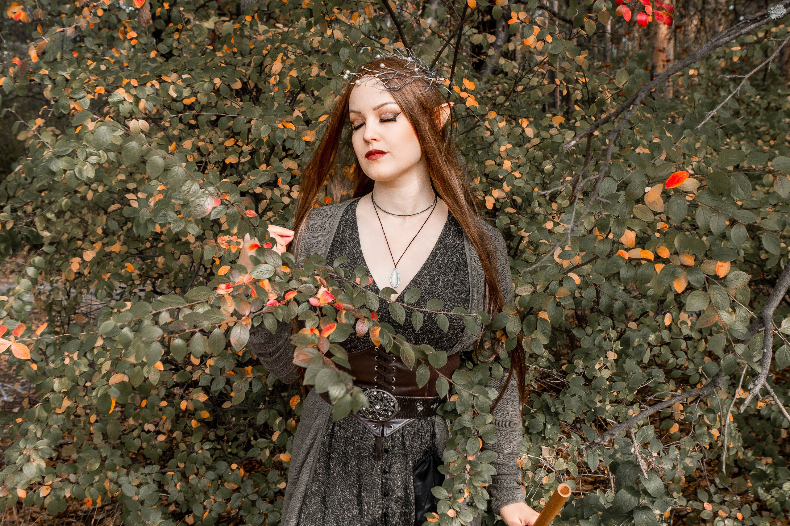 Волшебный лес. Фотограф Екатерина Голицына